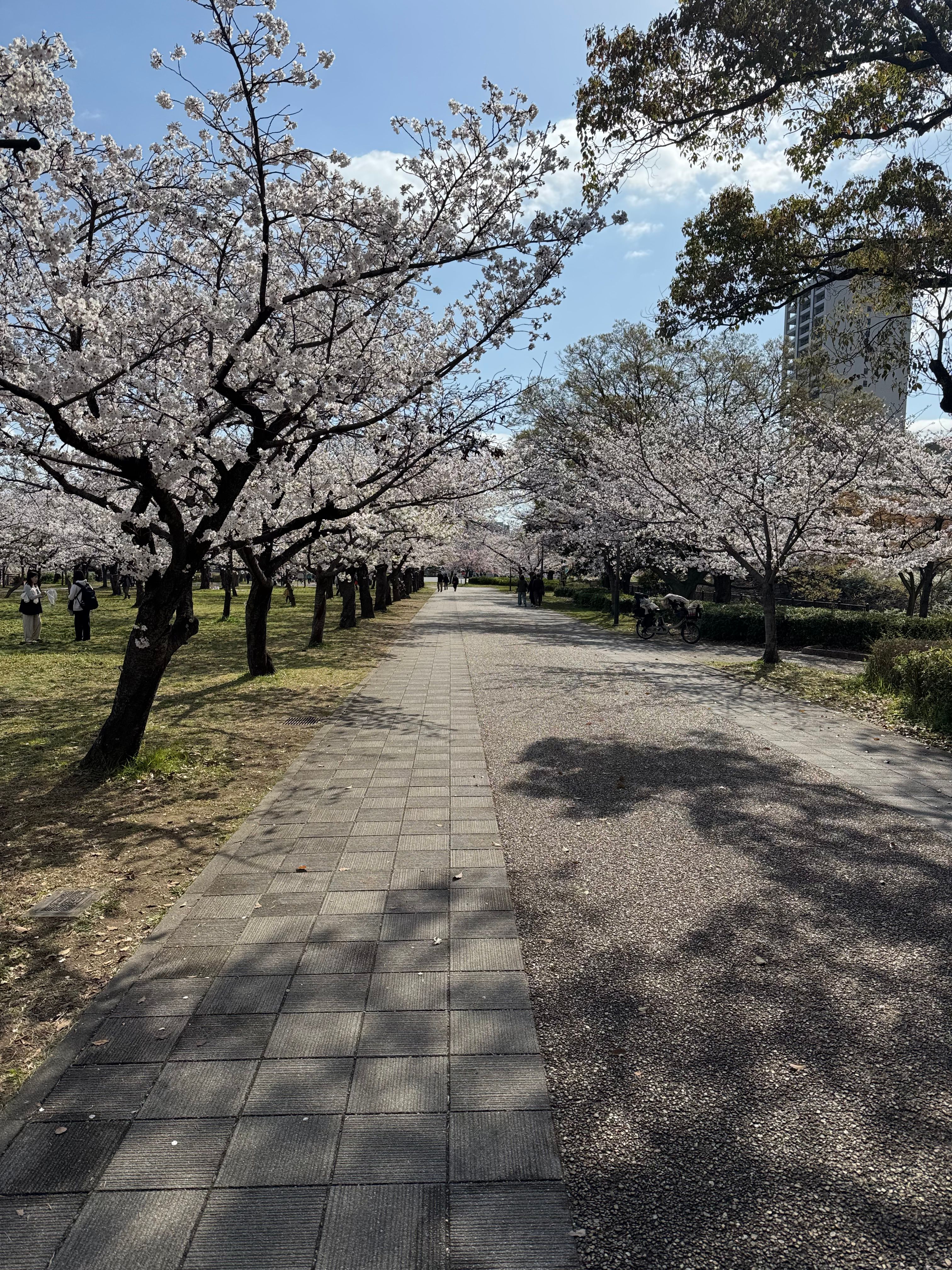 Image in a image block