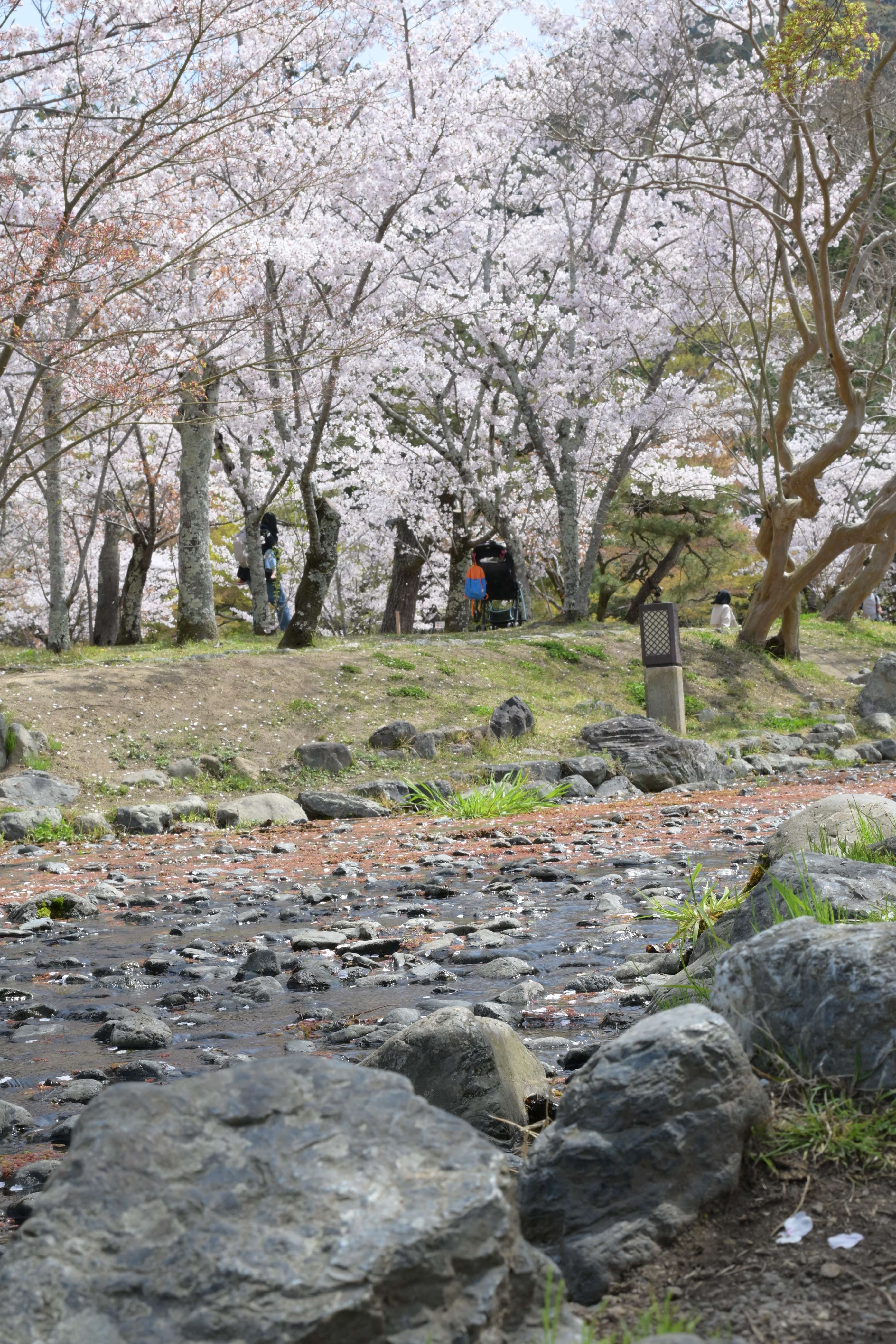 Image in a image block