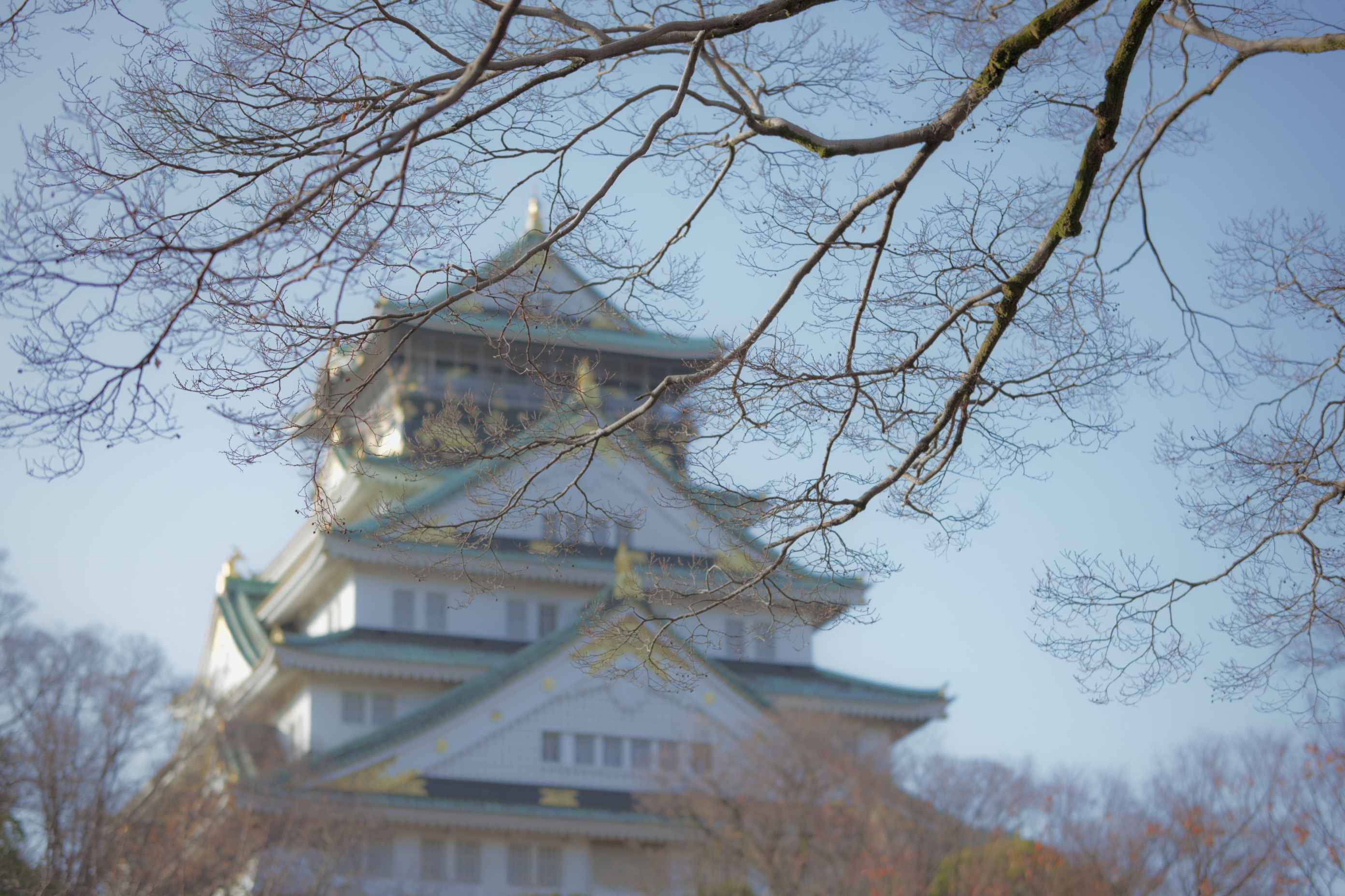 Image in a image block