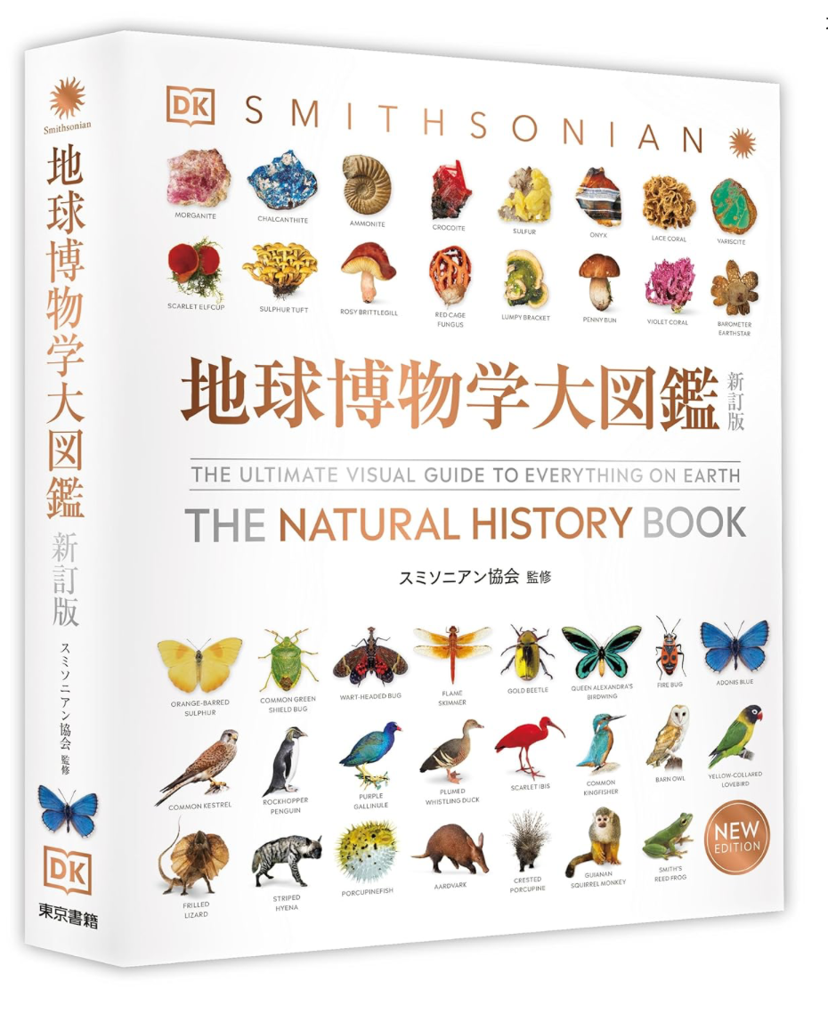 Image in a image block