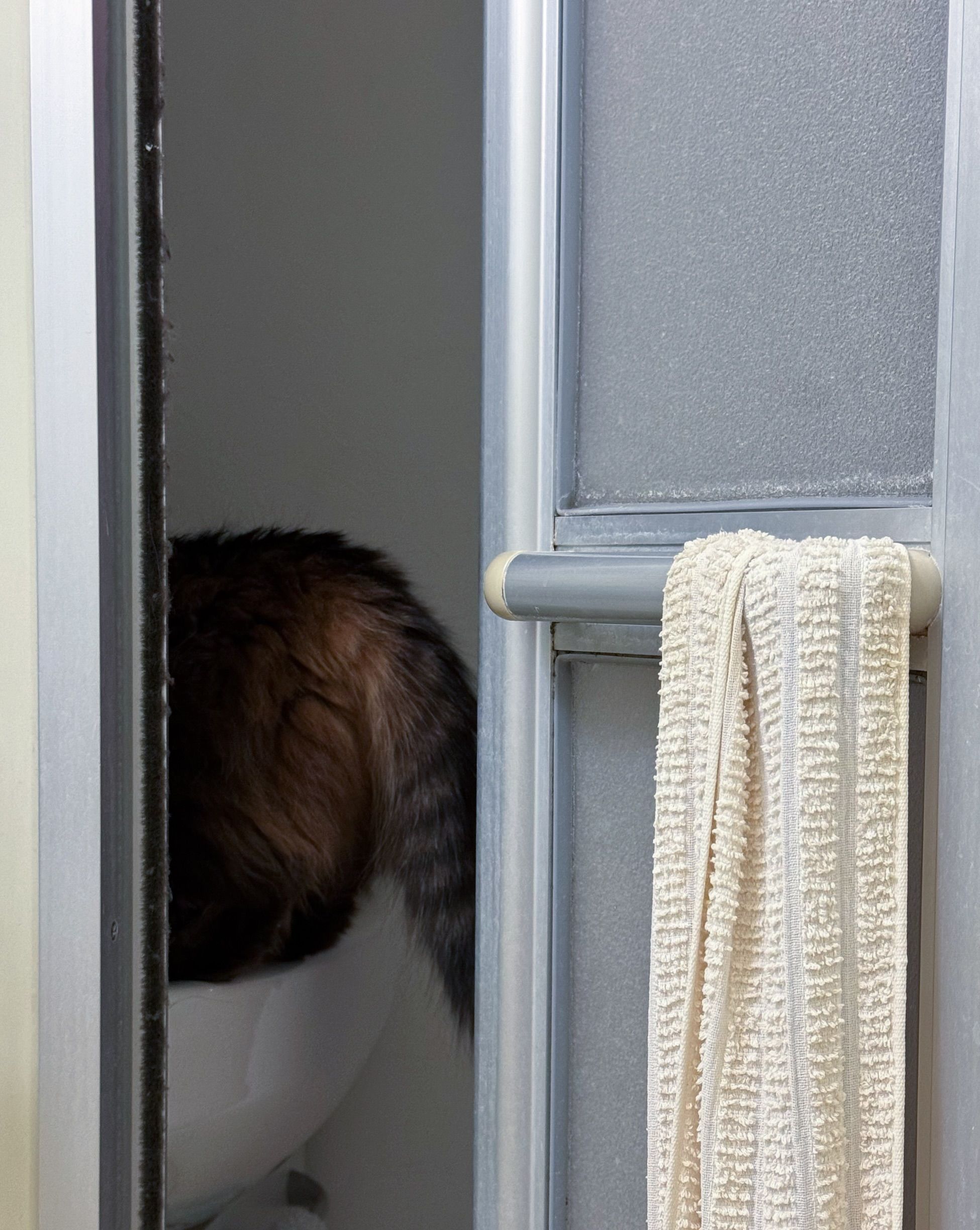 Image in a image block