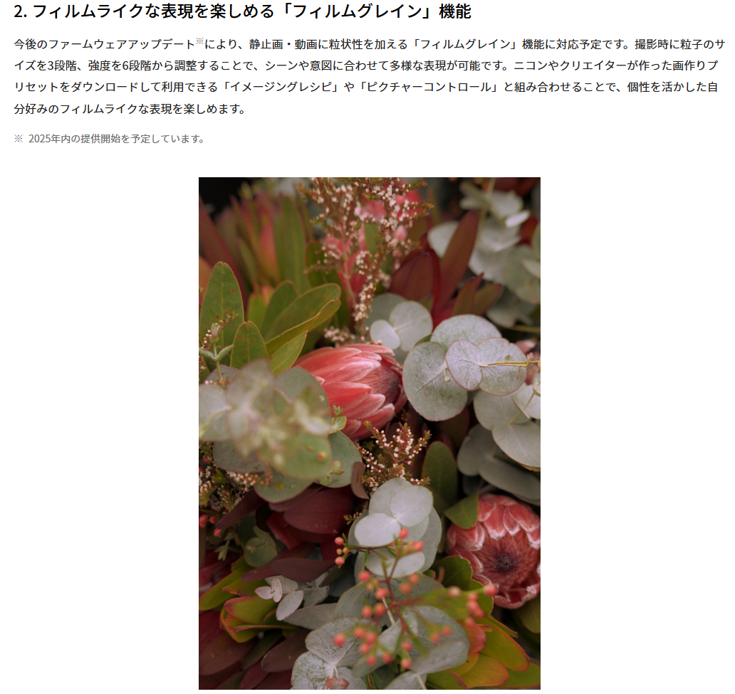 Image in a image block