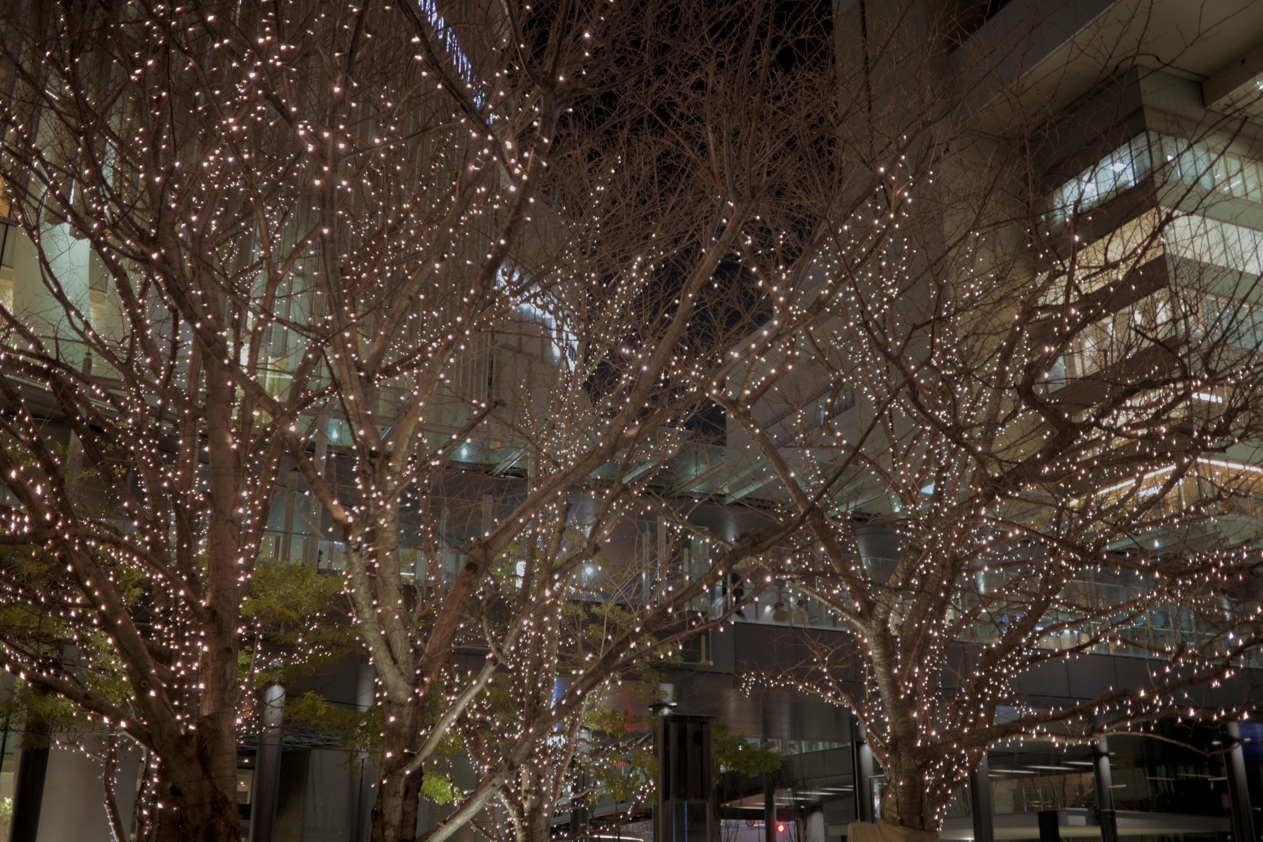 Image in a image block