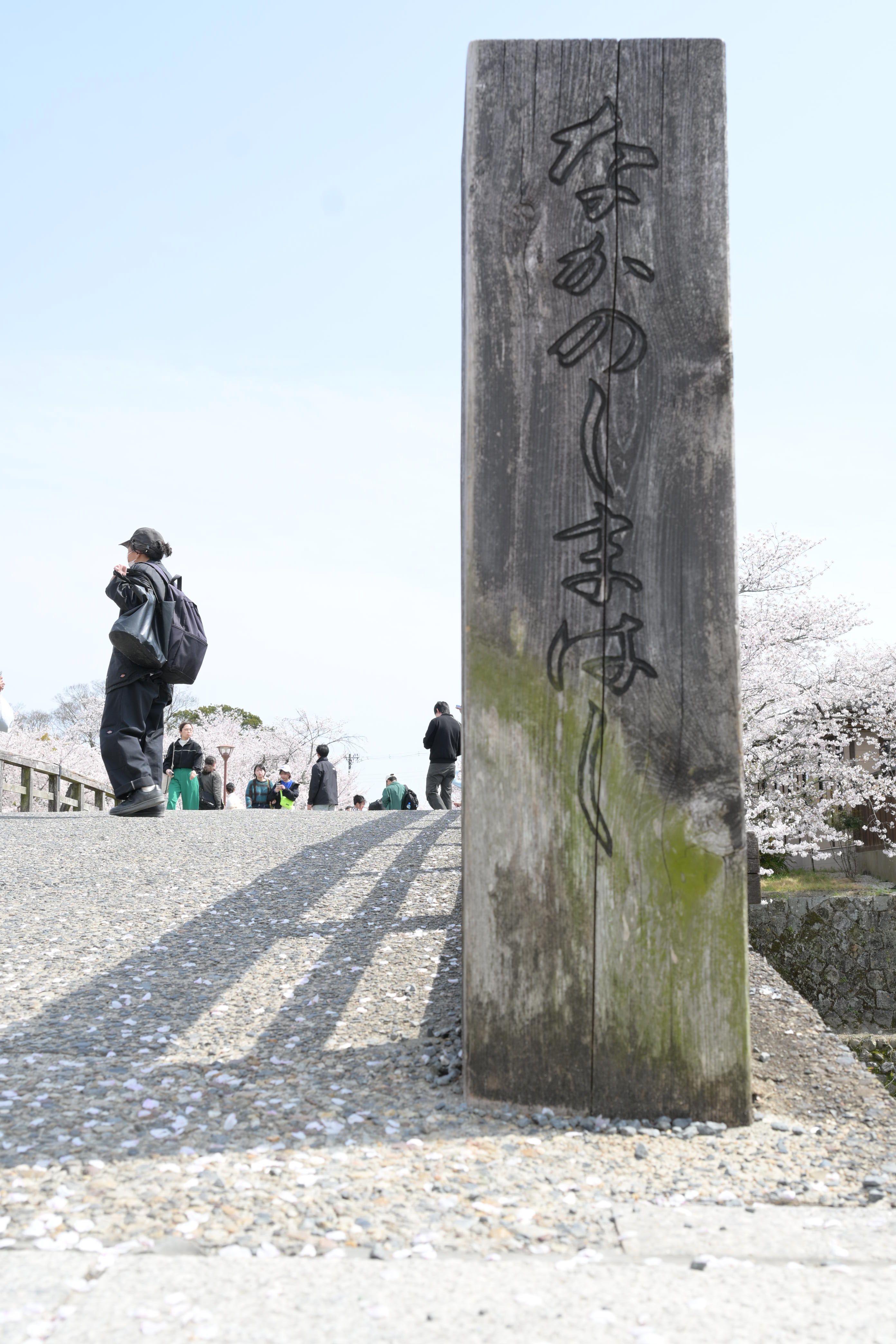 Image in a image block