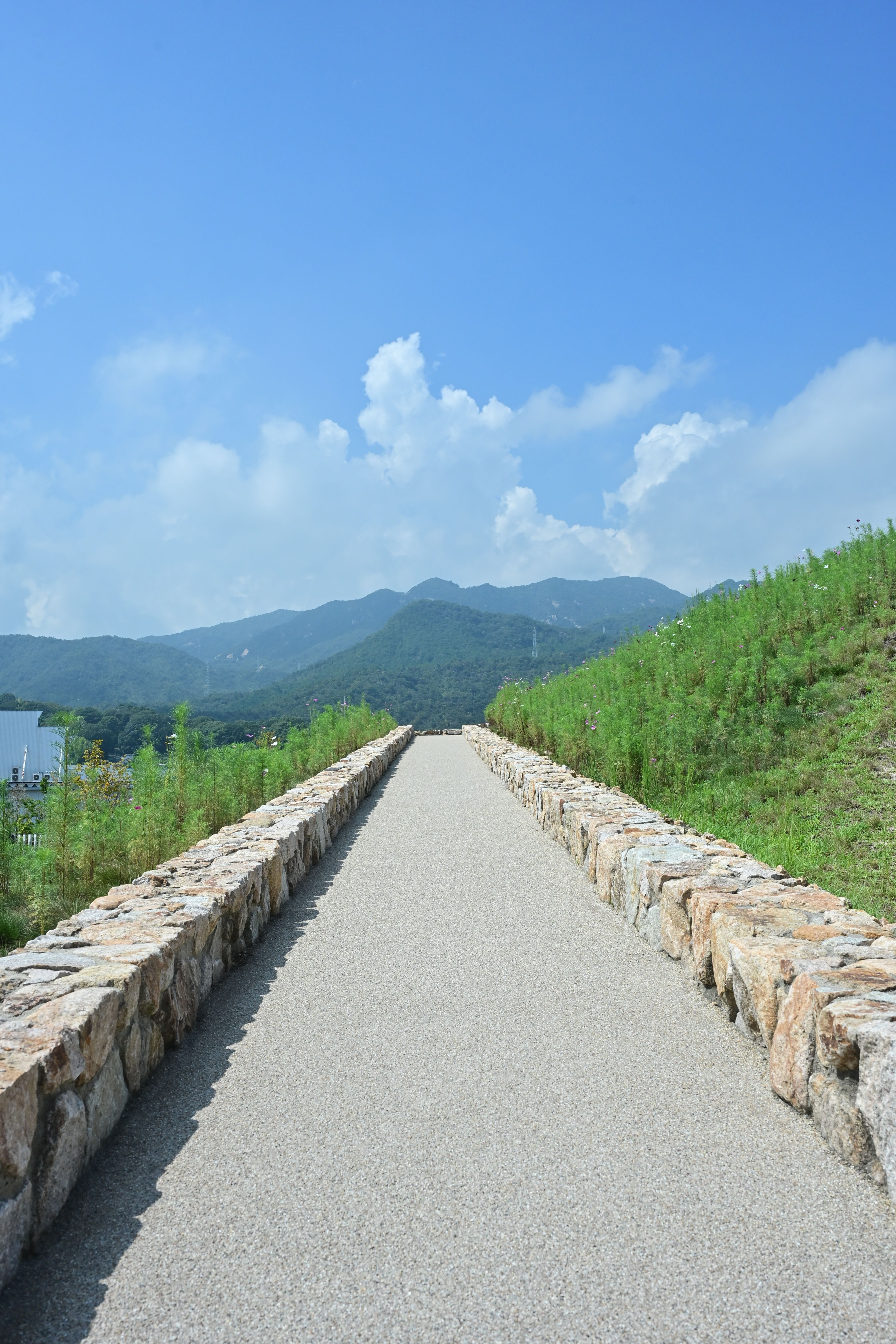 Image in a image block