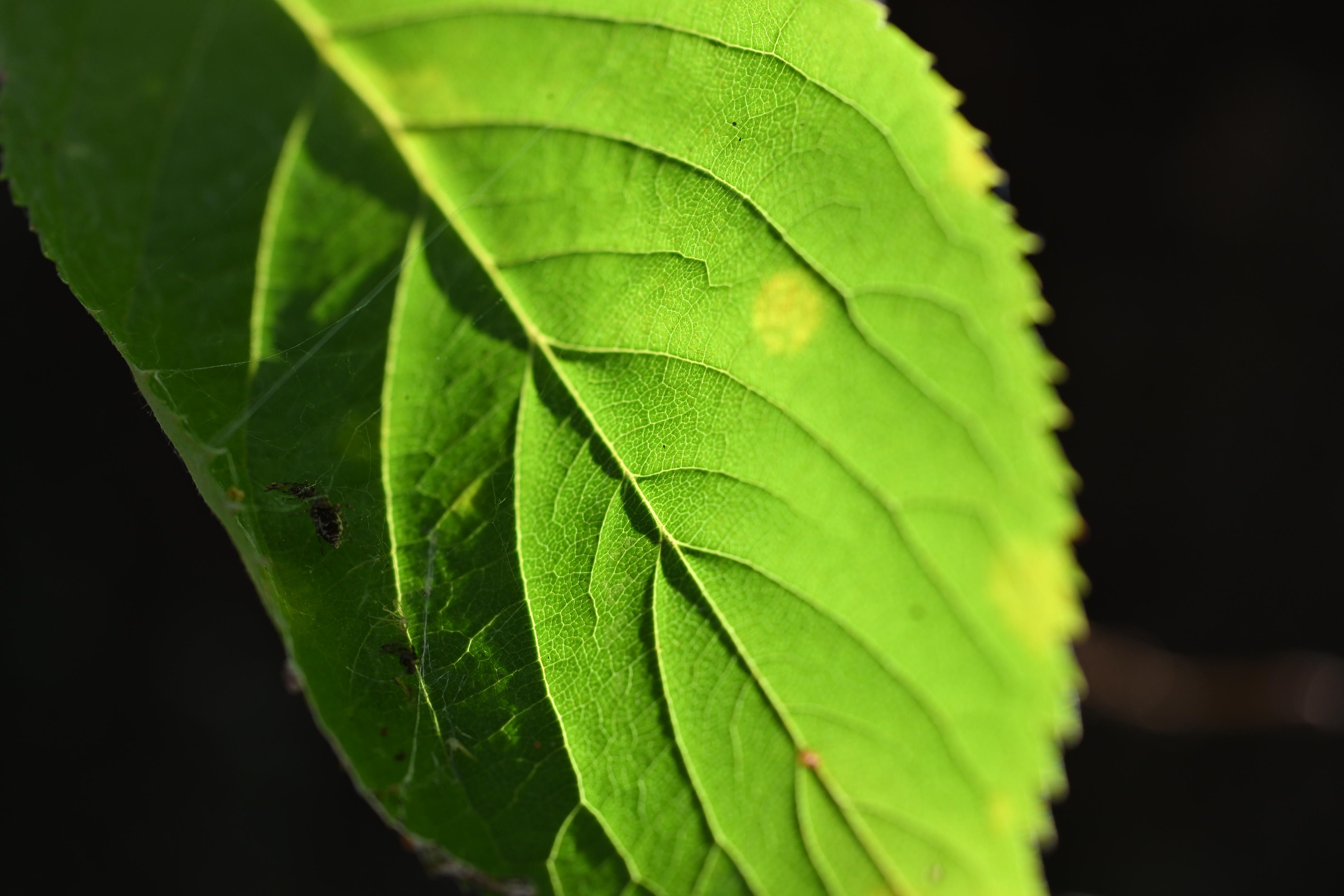 Featured image of the post