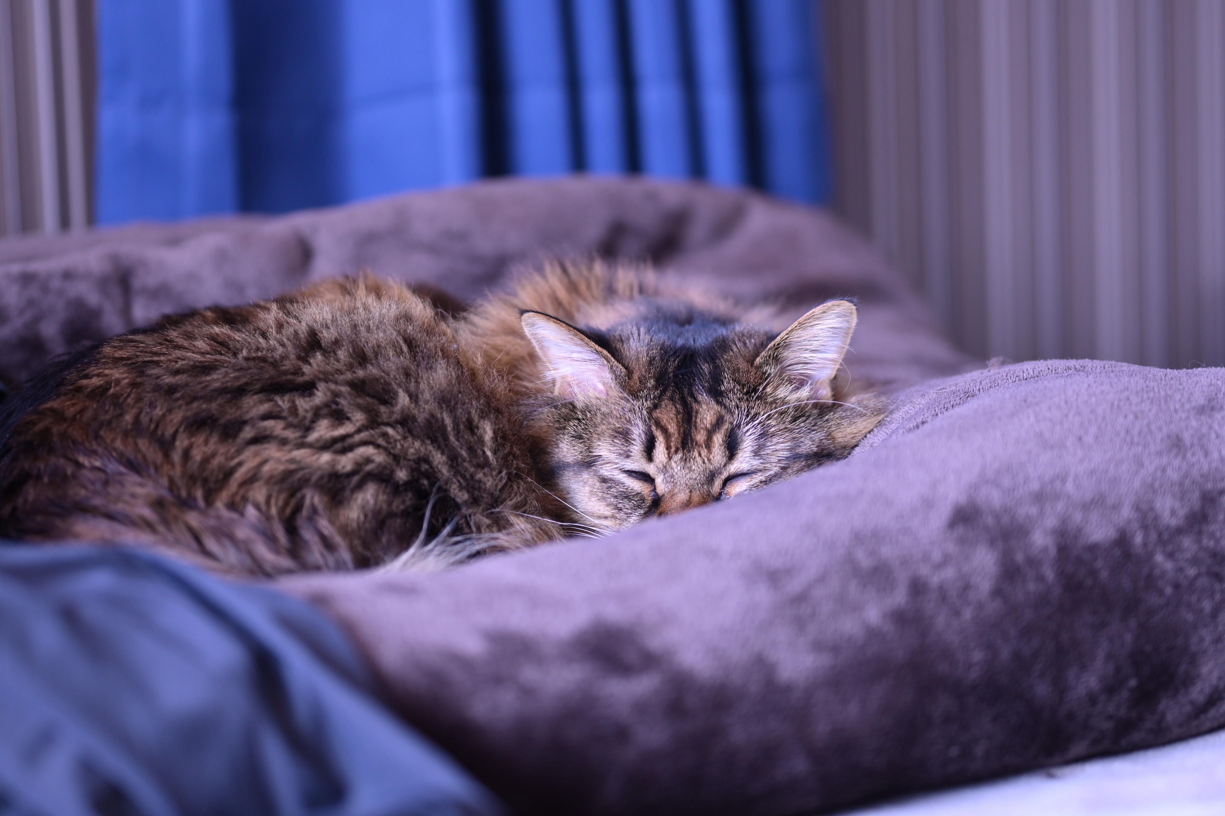 Image in a image block