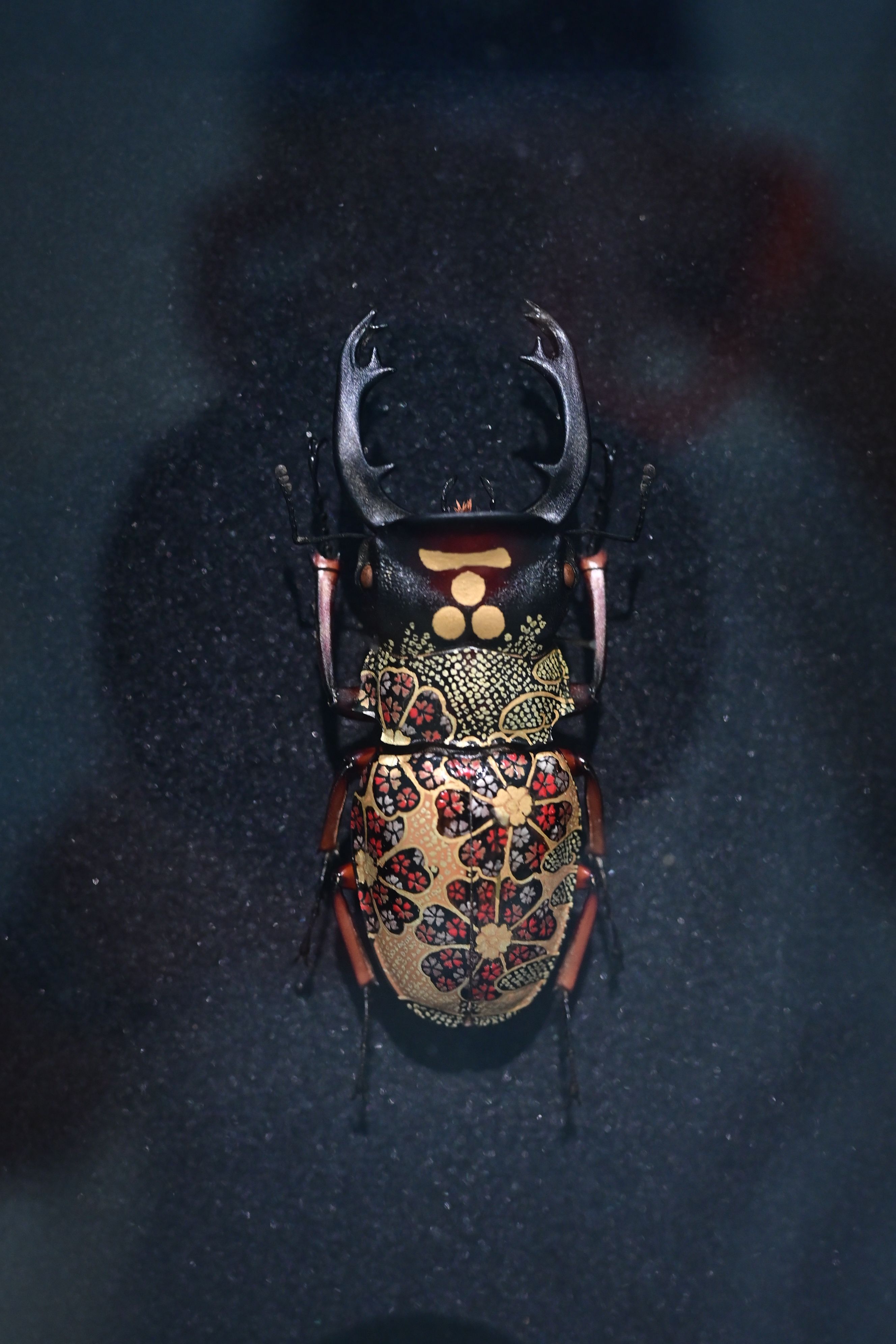 Image in a image block