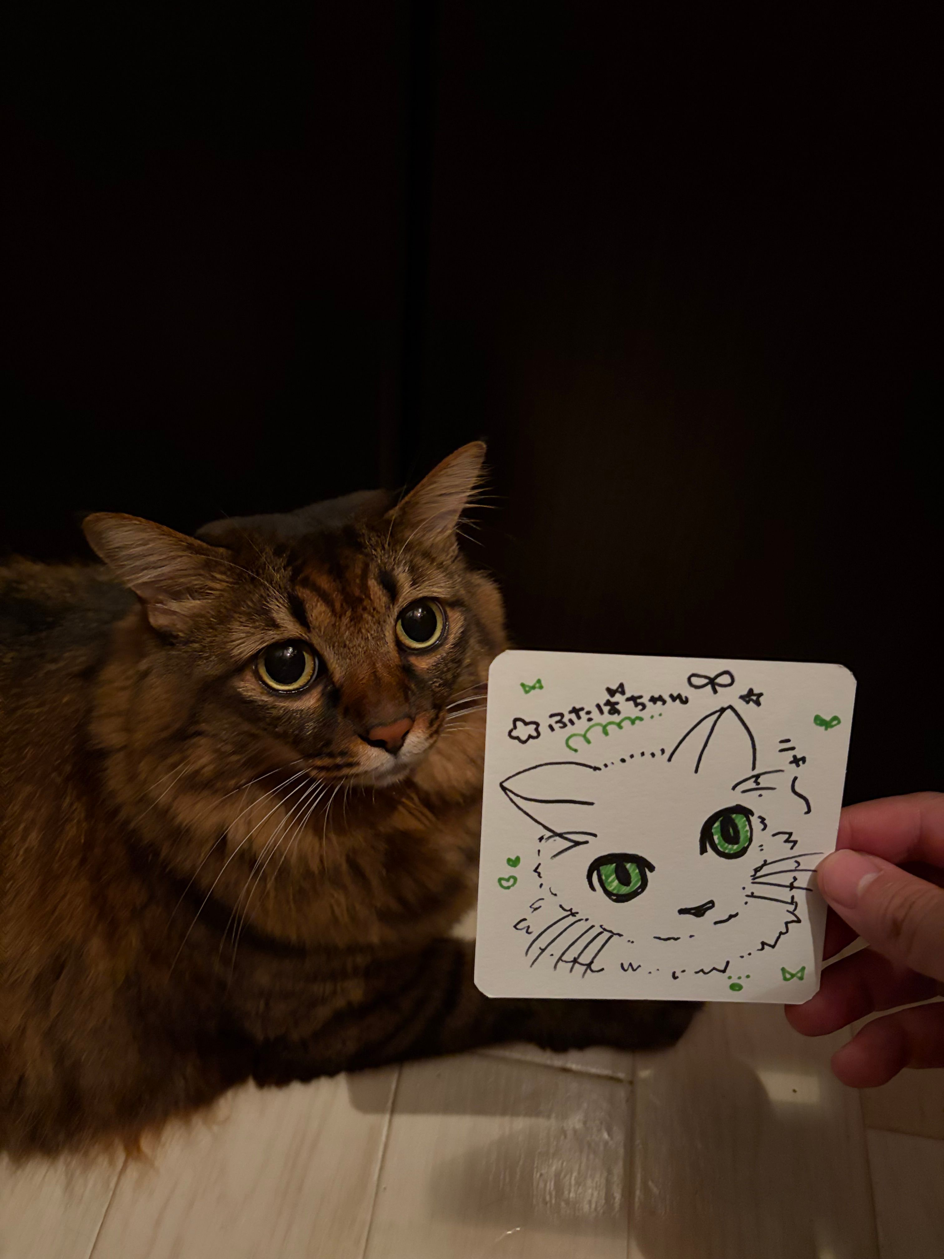 Featured image of the post