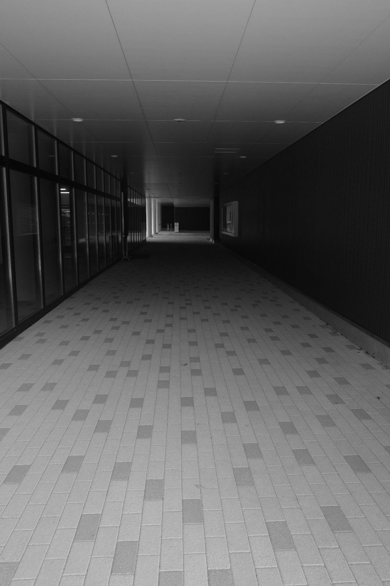 Featured image of the post