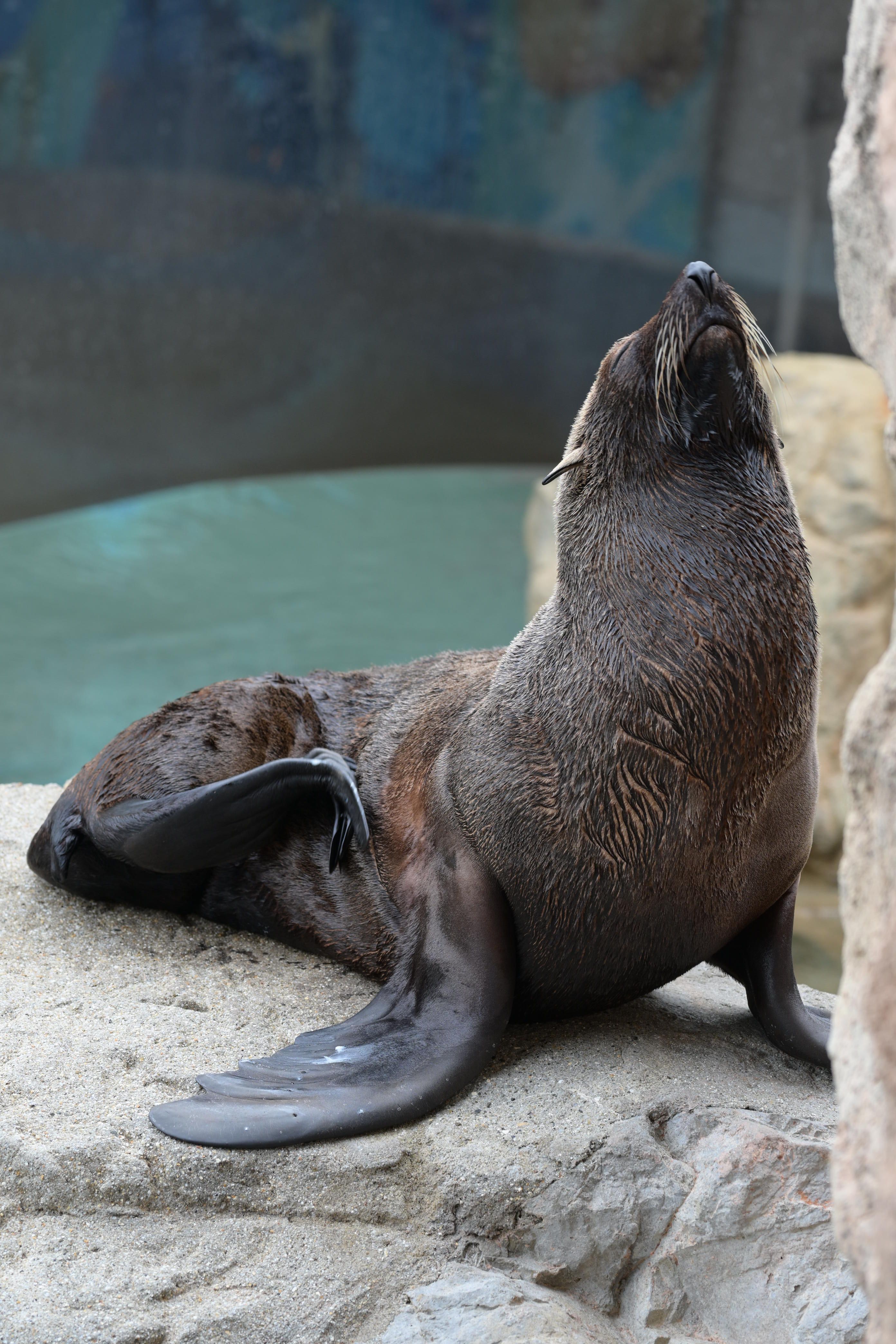 Image in a image block