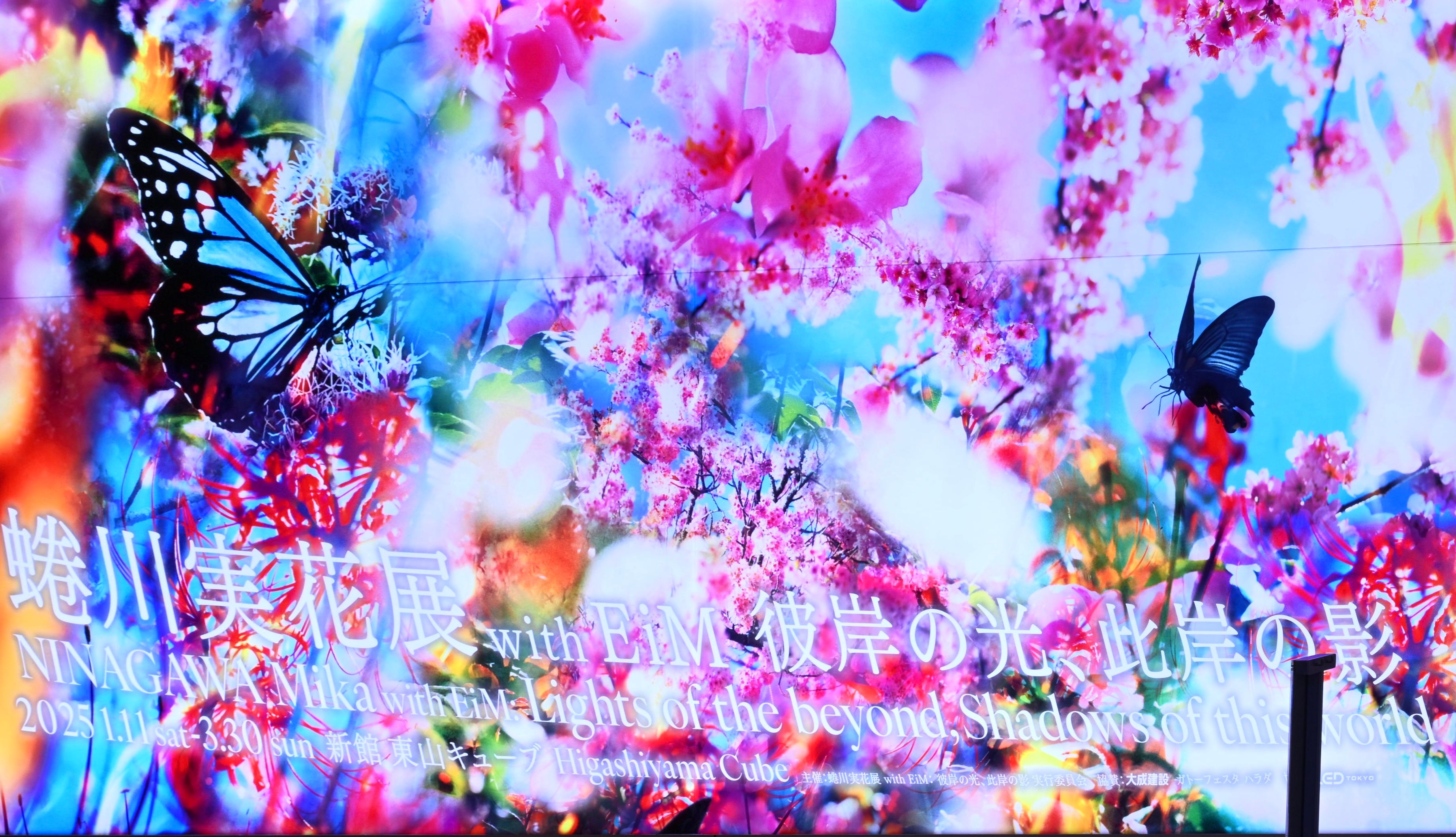 Image in a image block