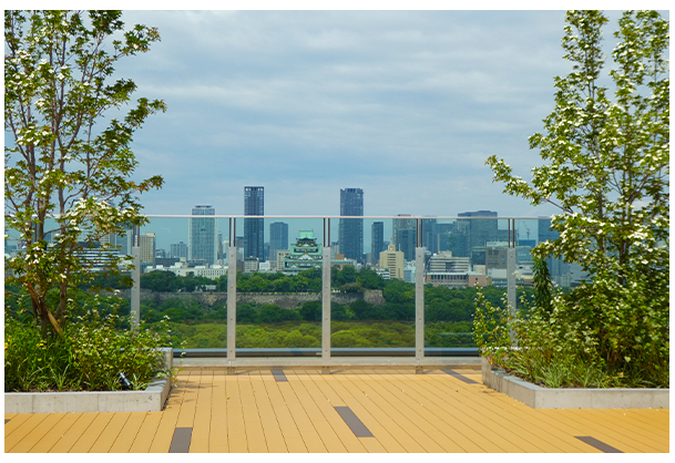 Image in a image block