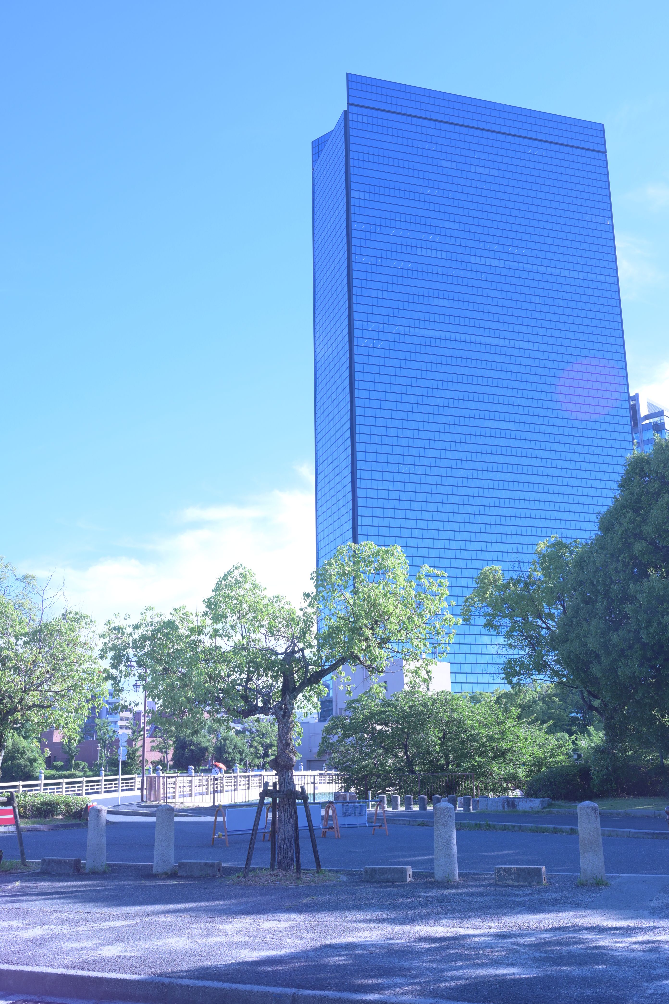 Featured image of the post