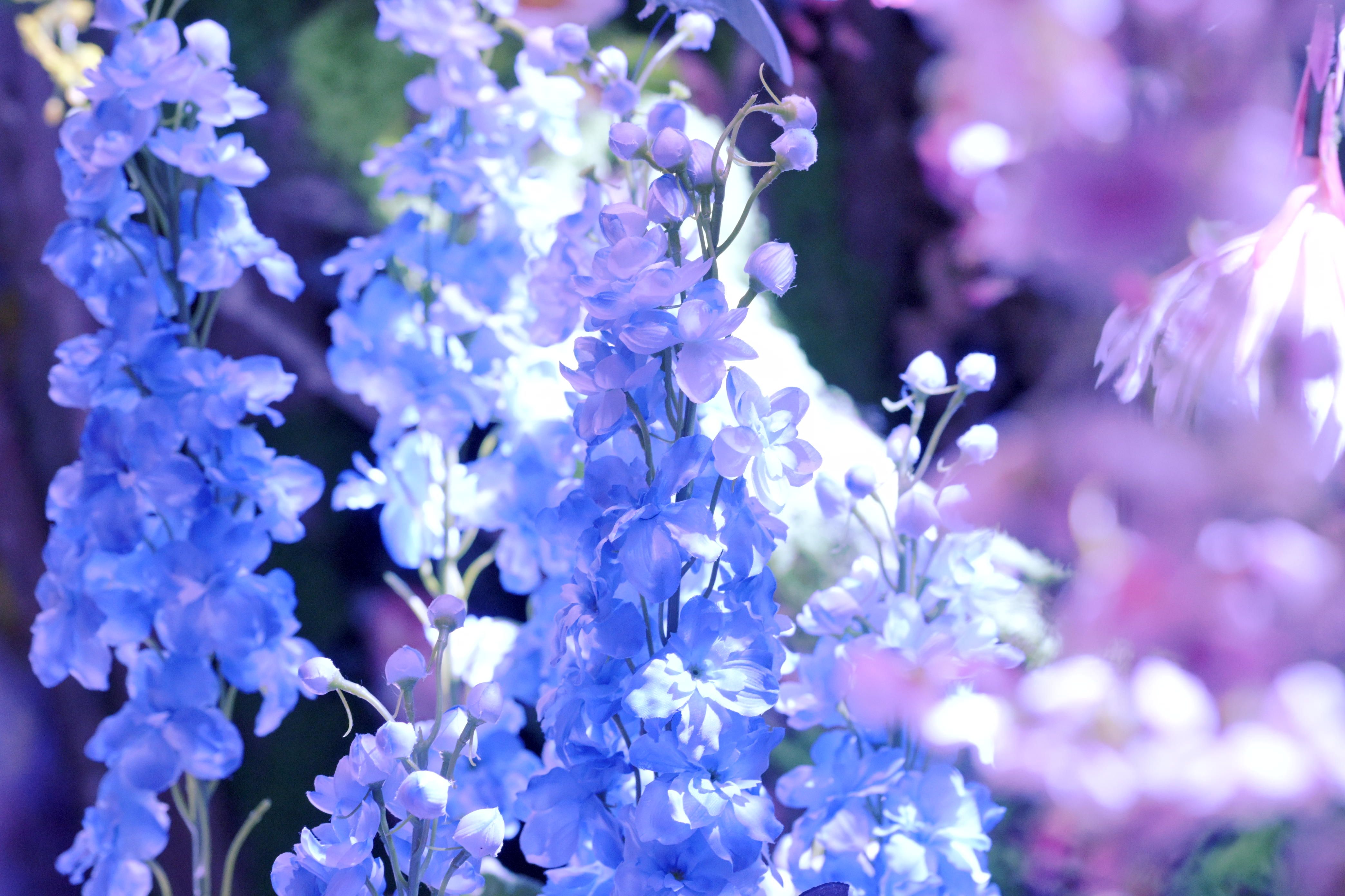 Image in a image block