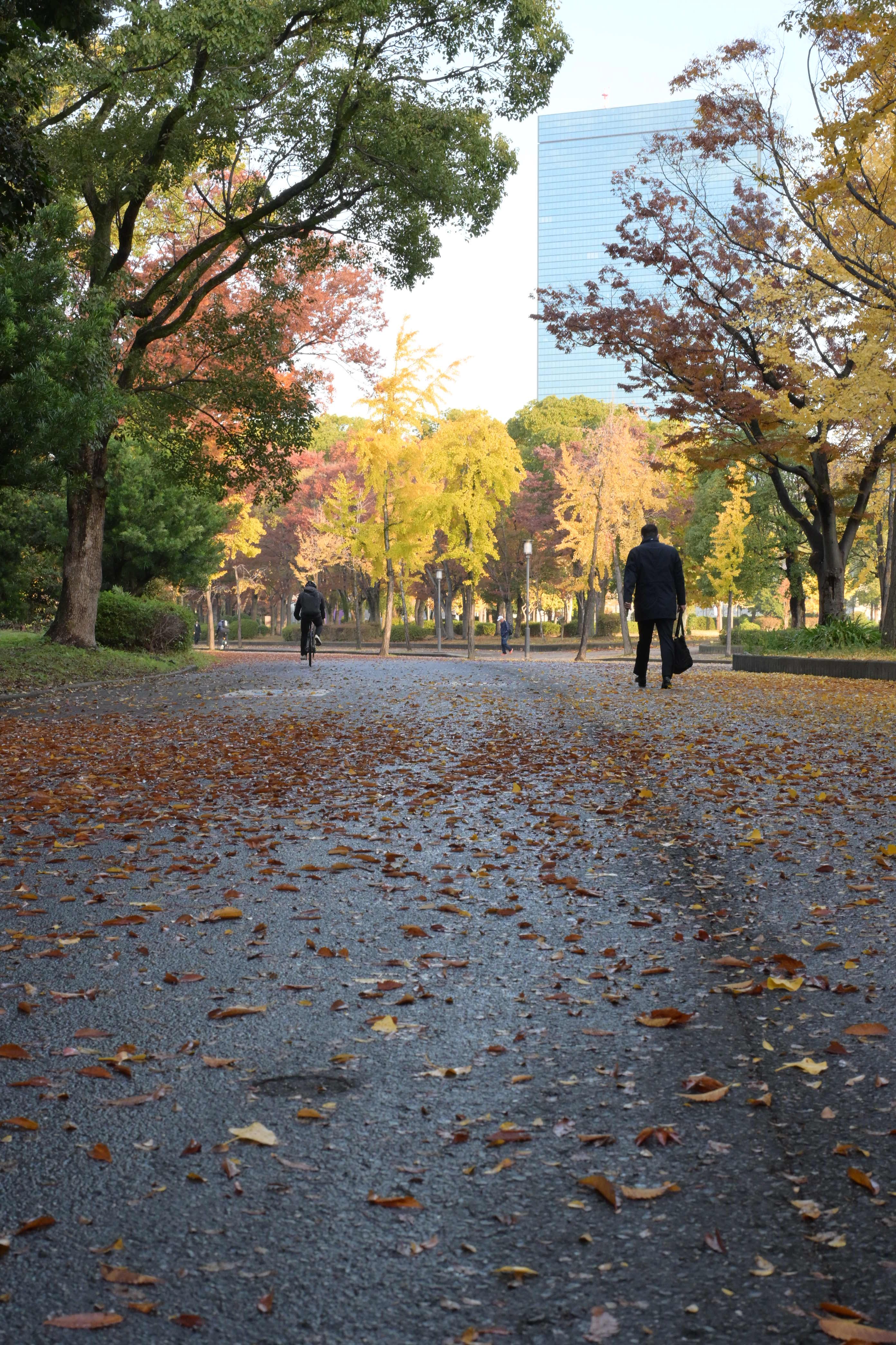 Image in a image block