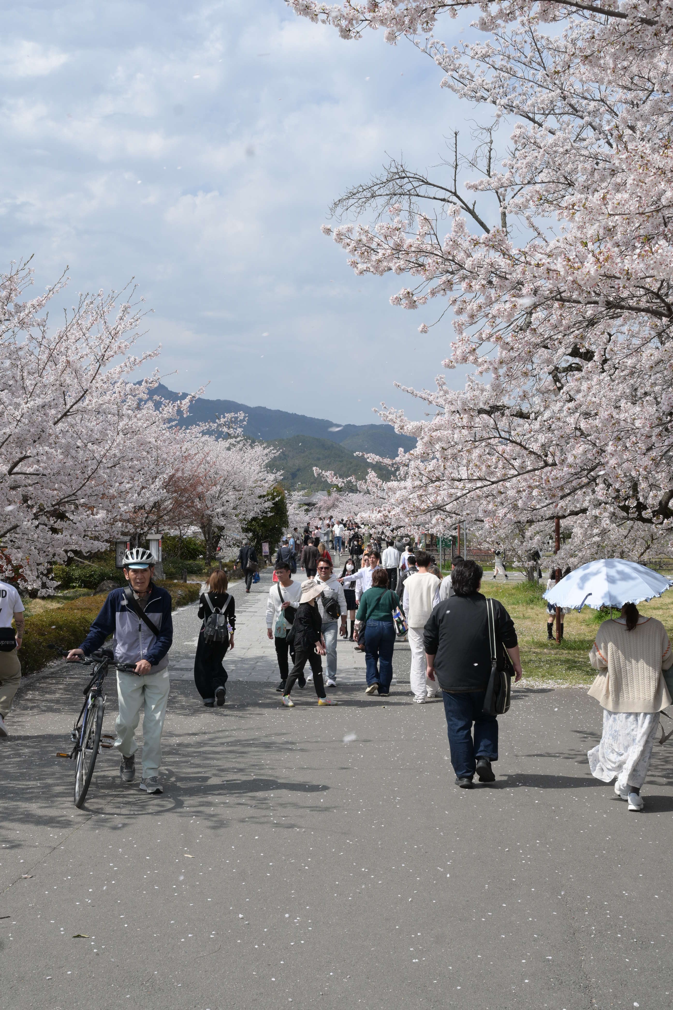 Image in a image block