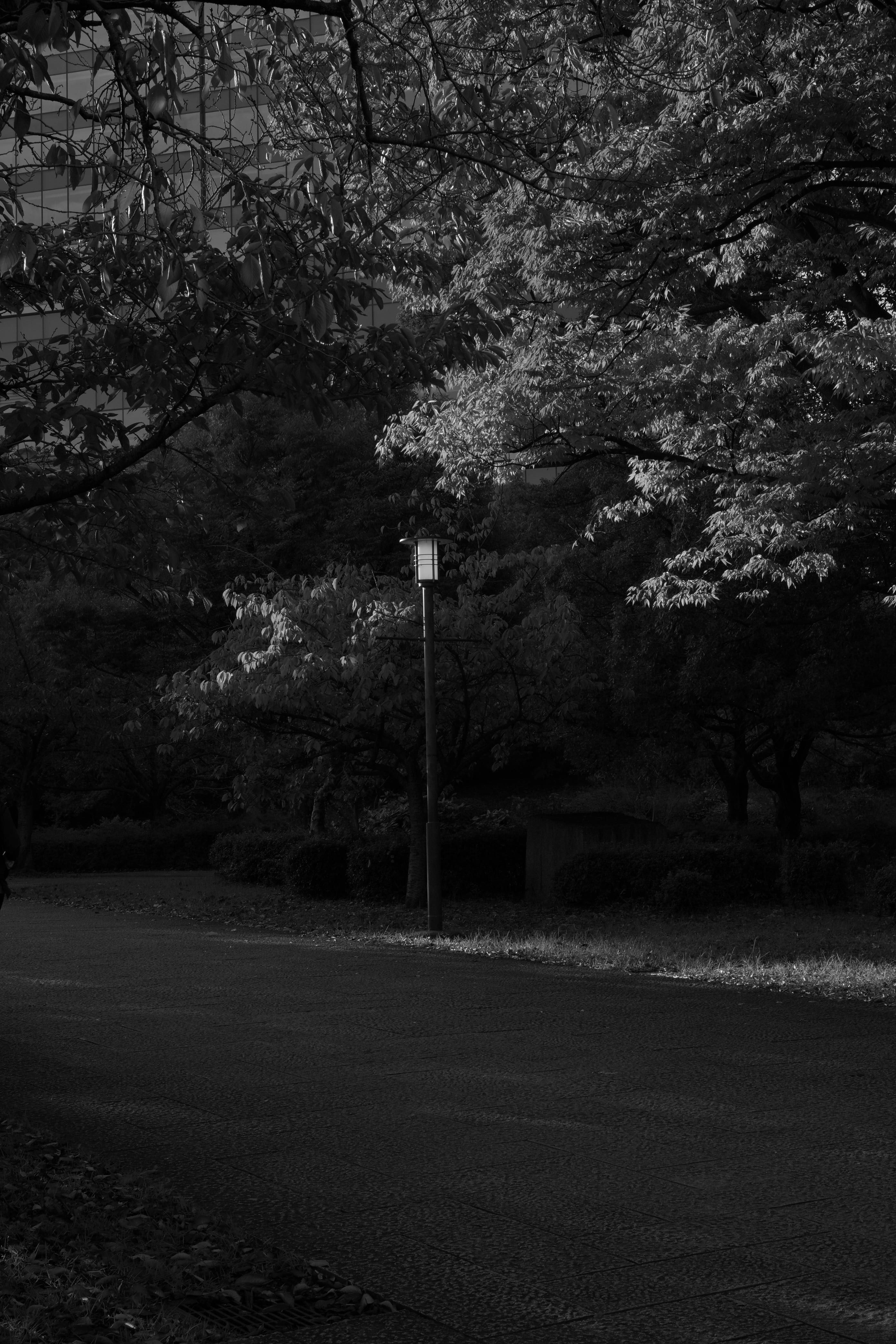 Image in a image block