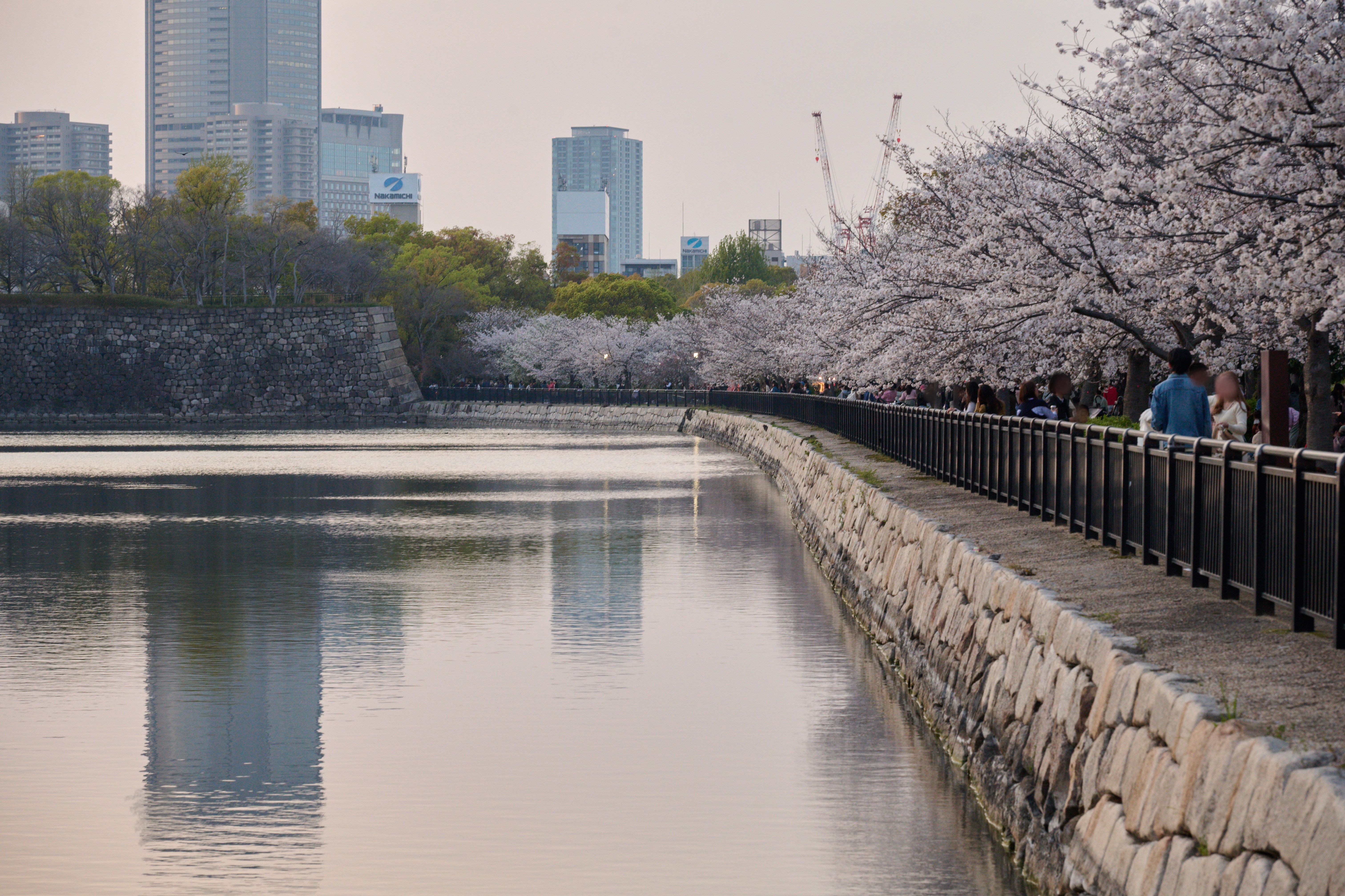 Featured image of the post