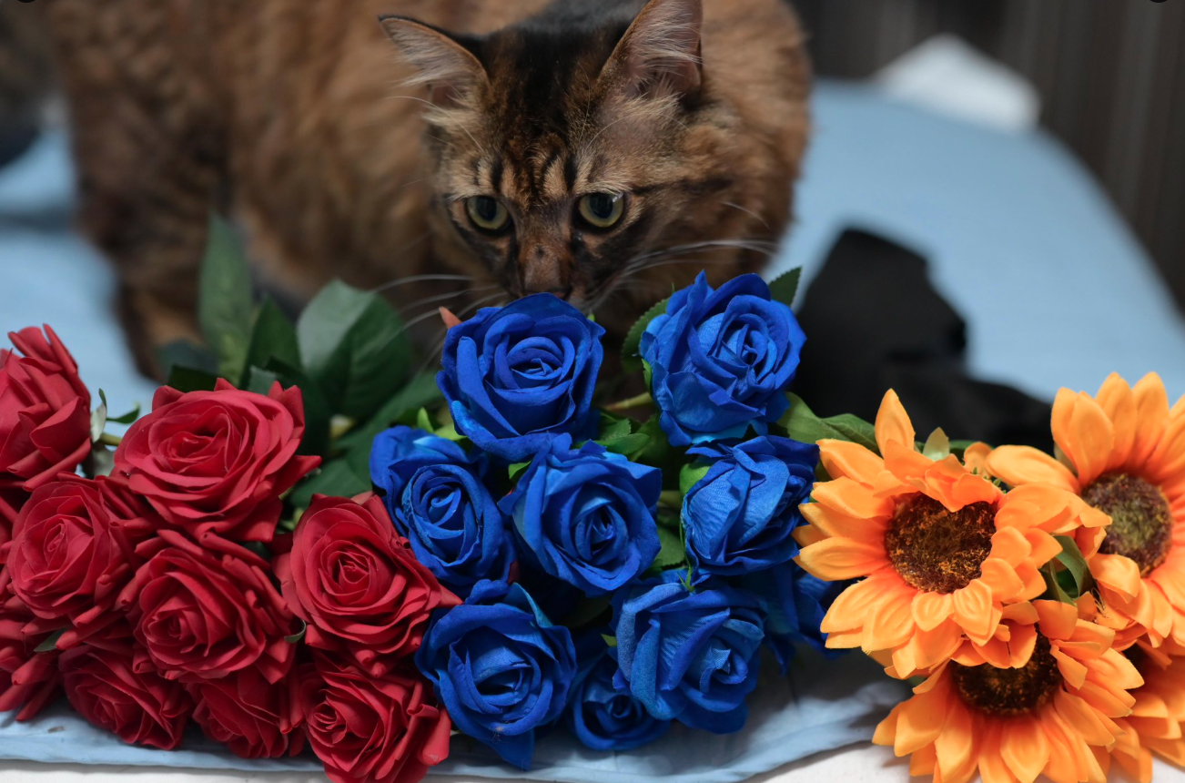 Image in a image block