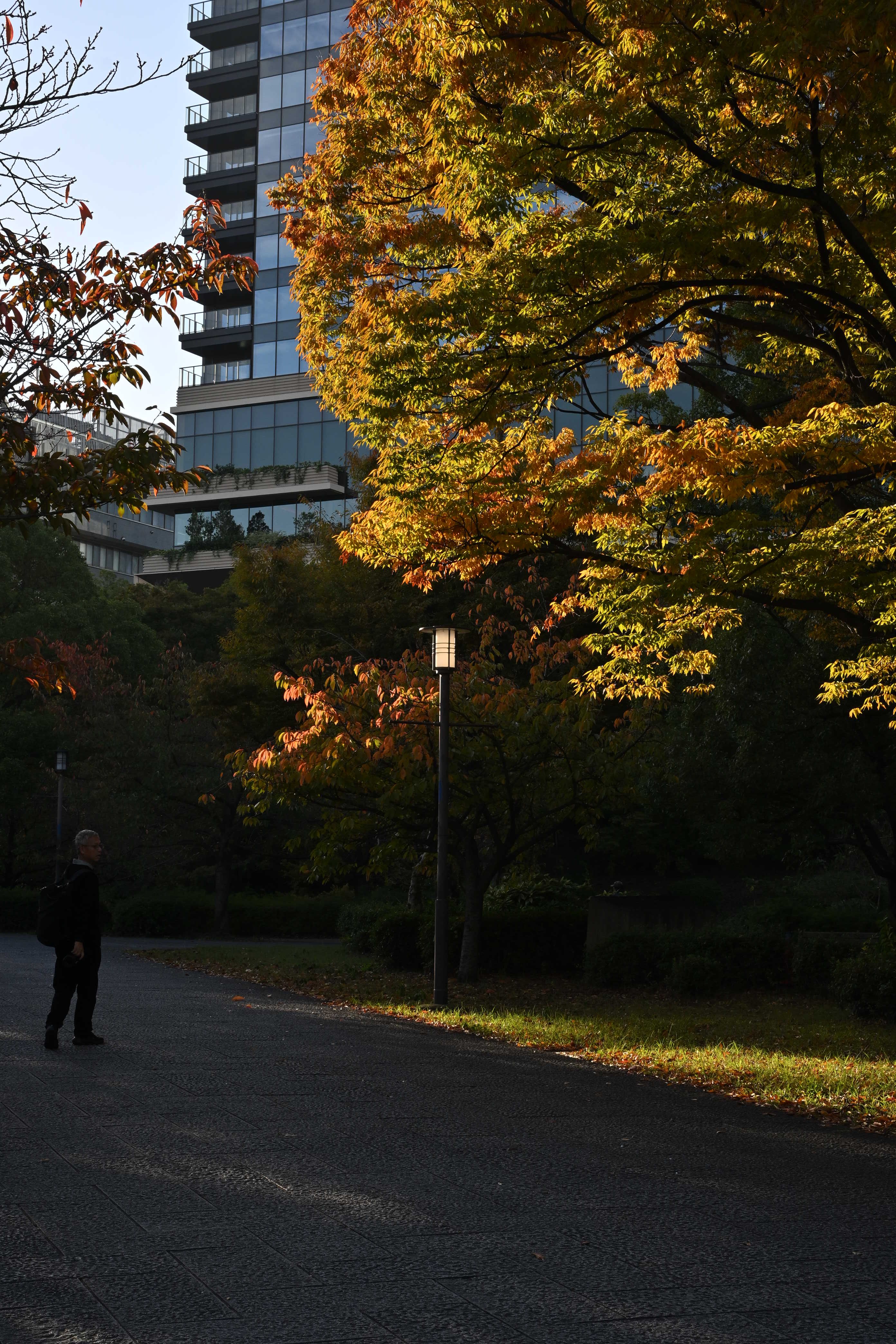 Image in a image block