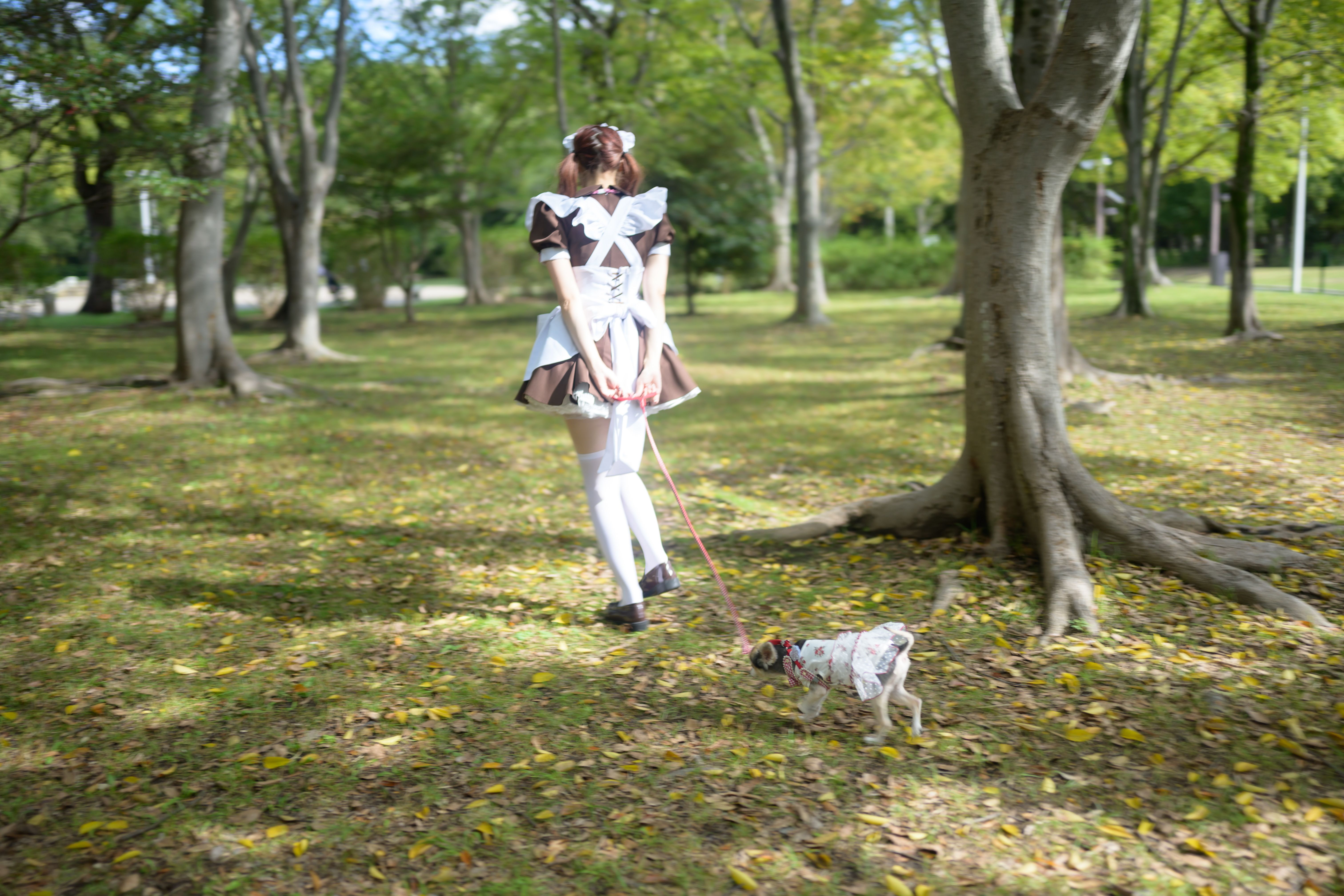 Featured image of the post