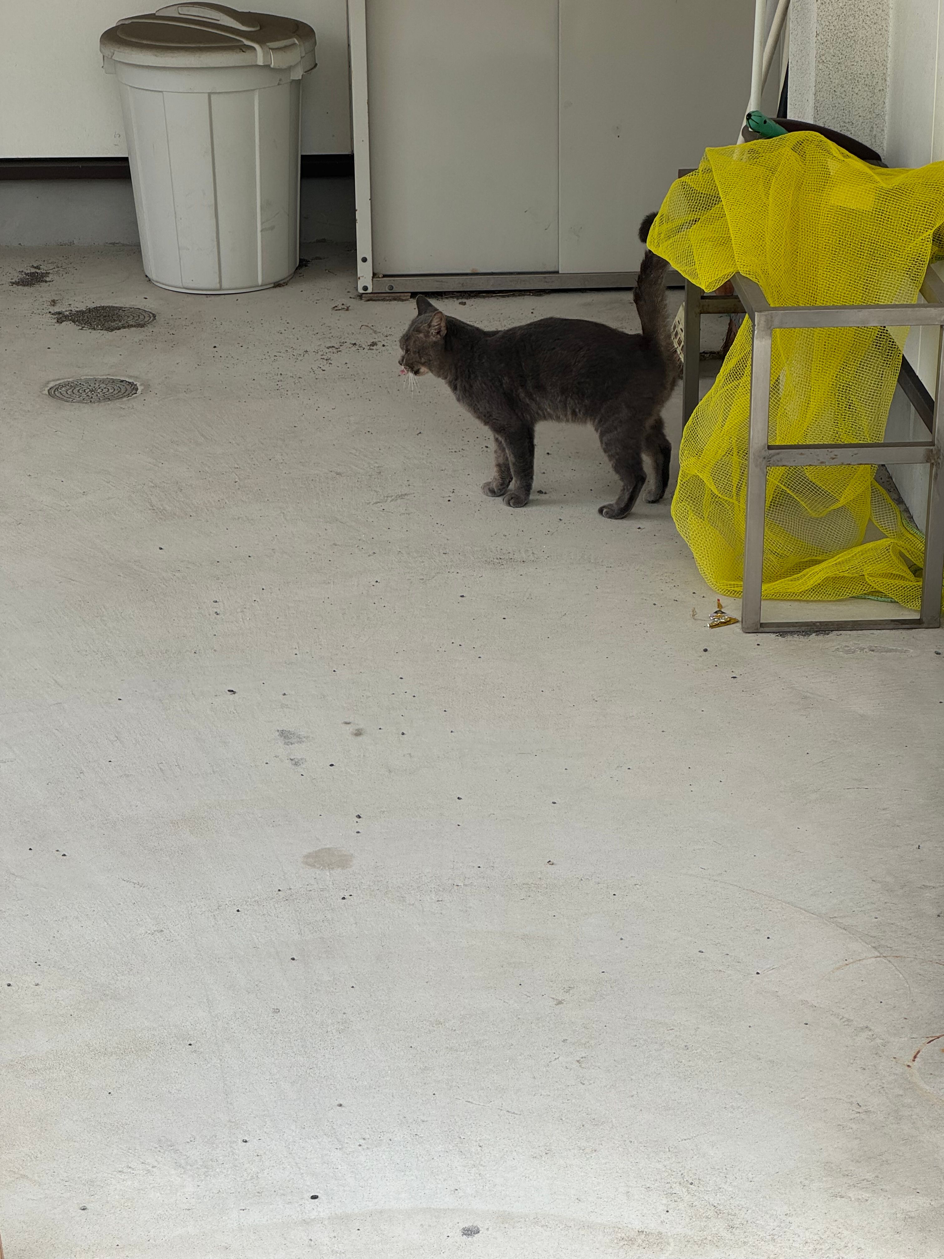 Featured image of the post