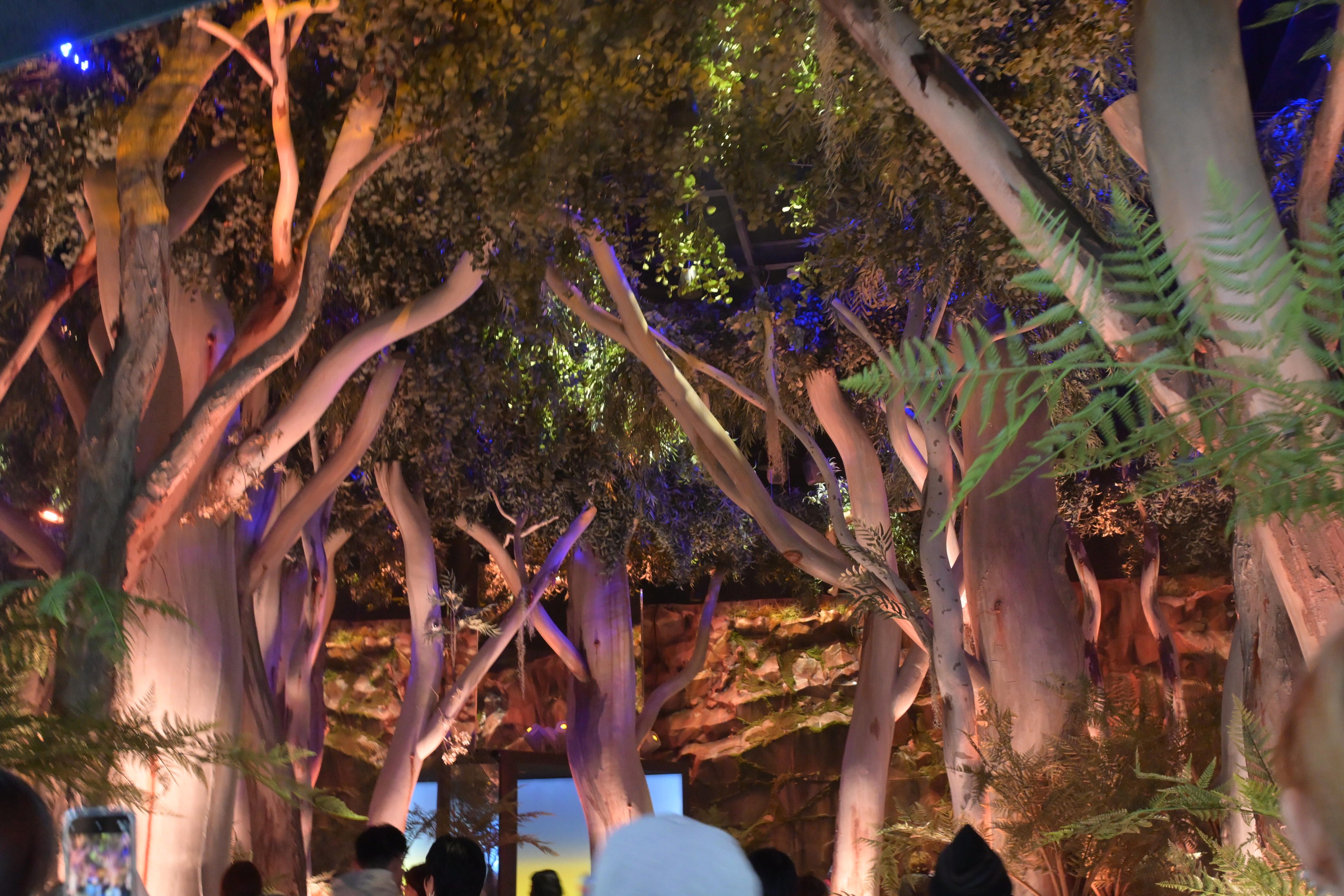 Image in a image block