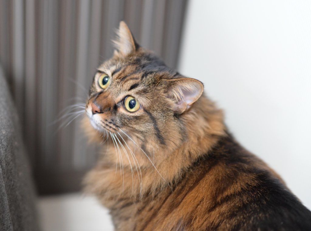 Image in a image block