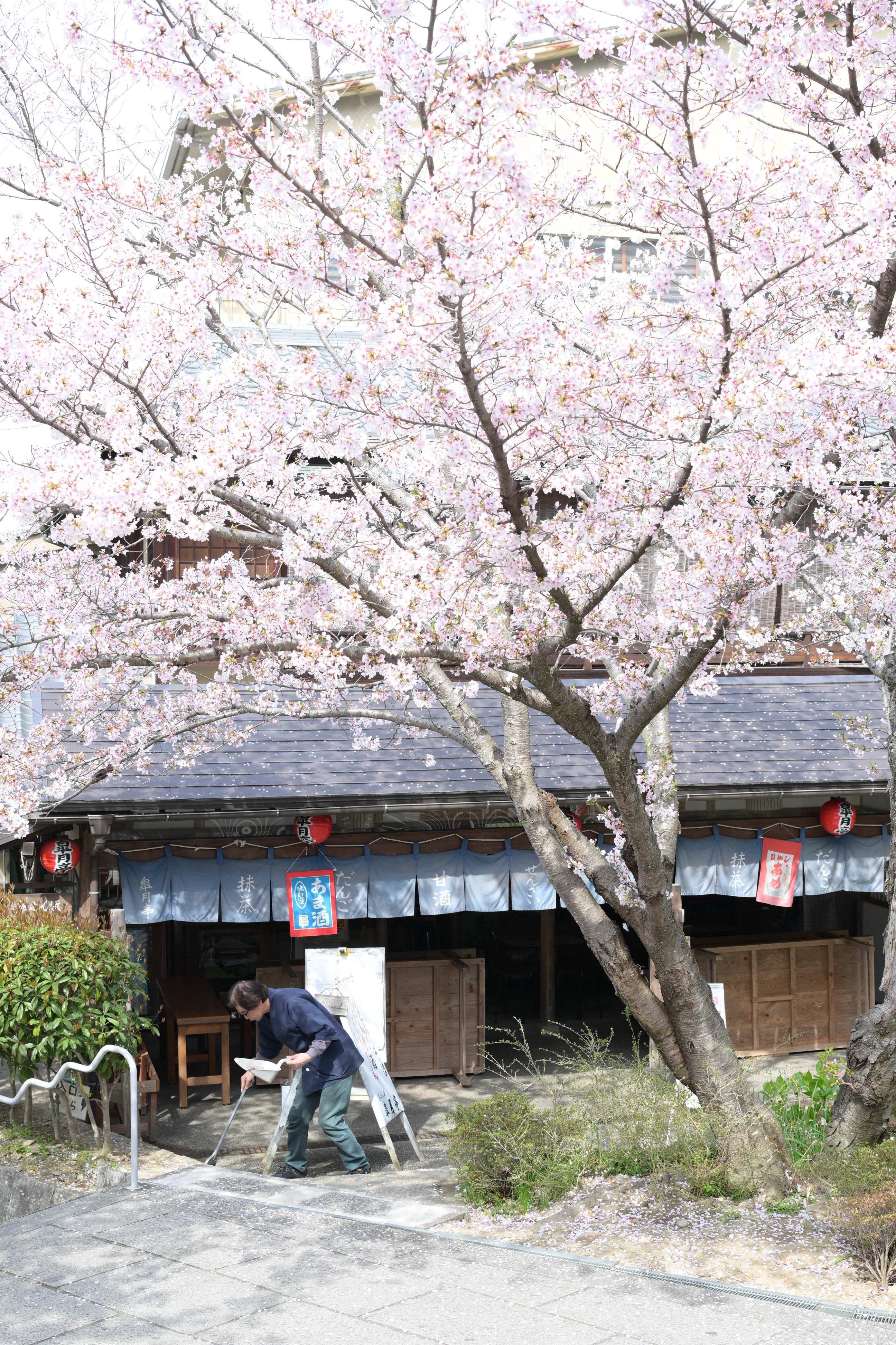 Image in a image block