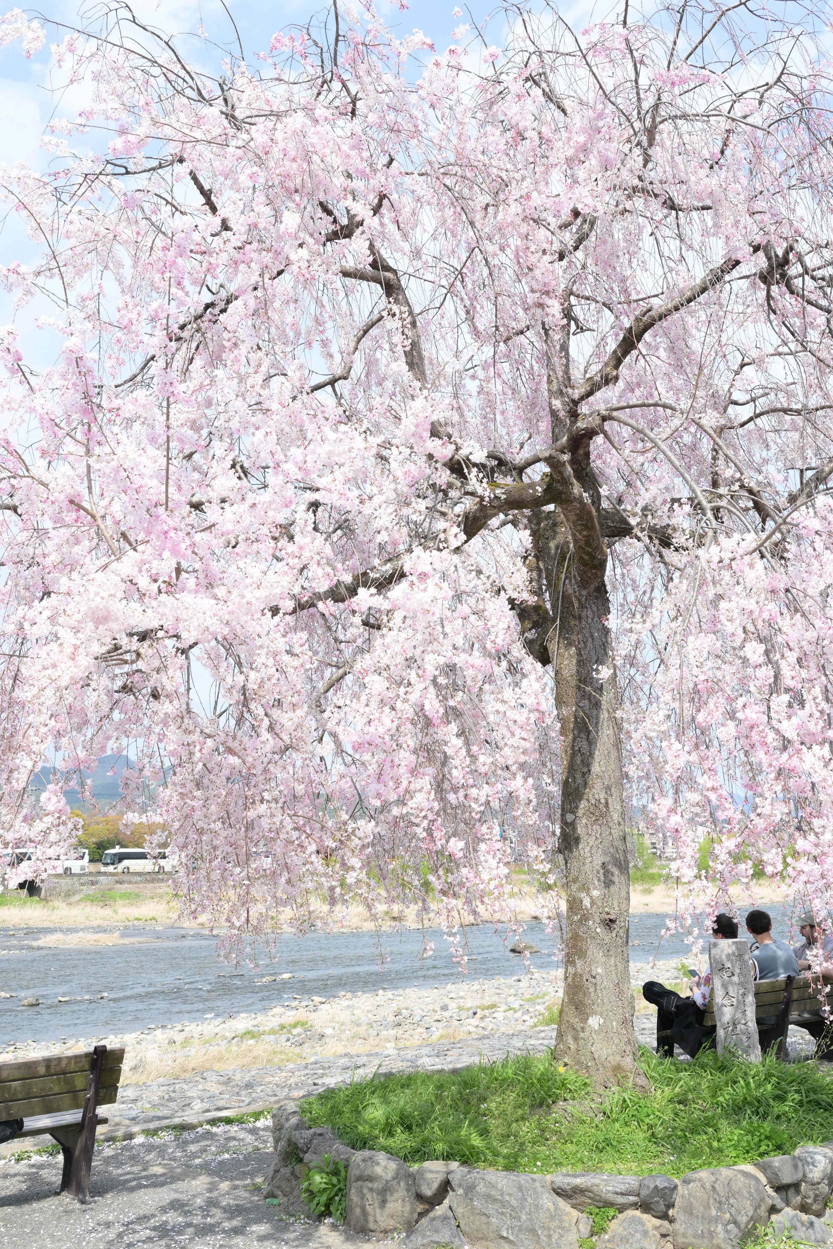 Image in a image block