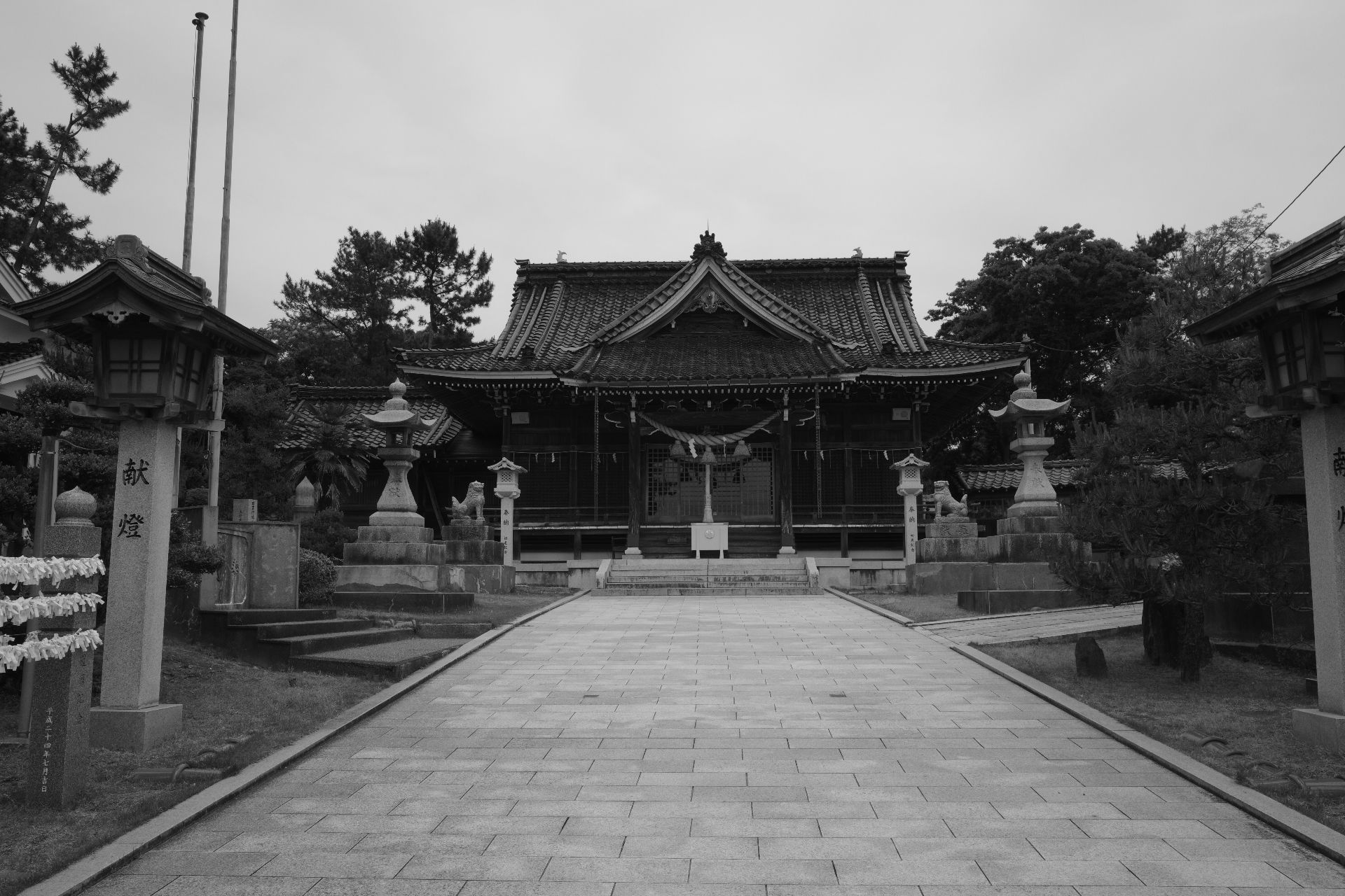 Featured image of the post