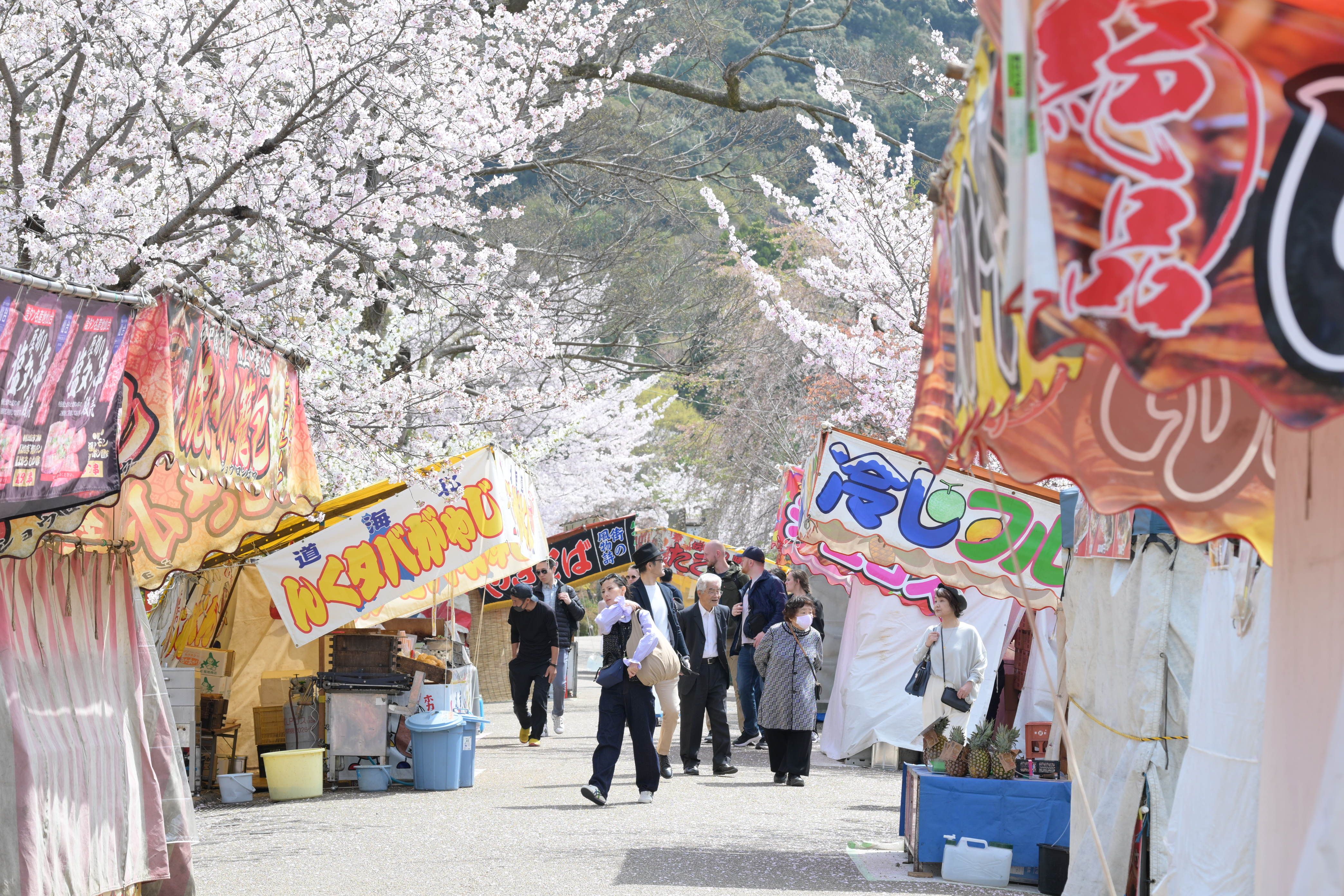 Image in a image block