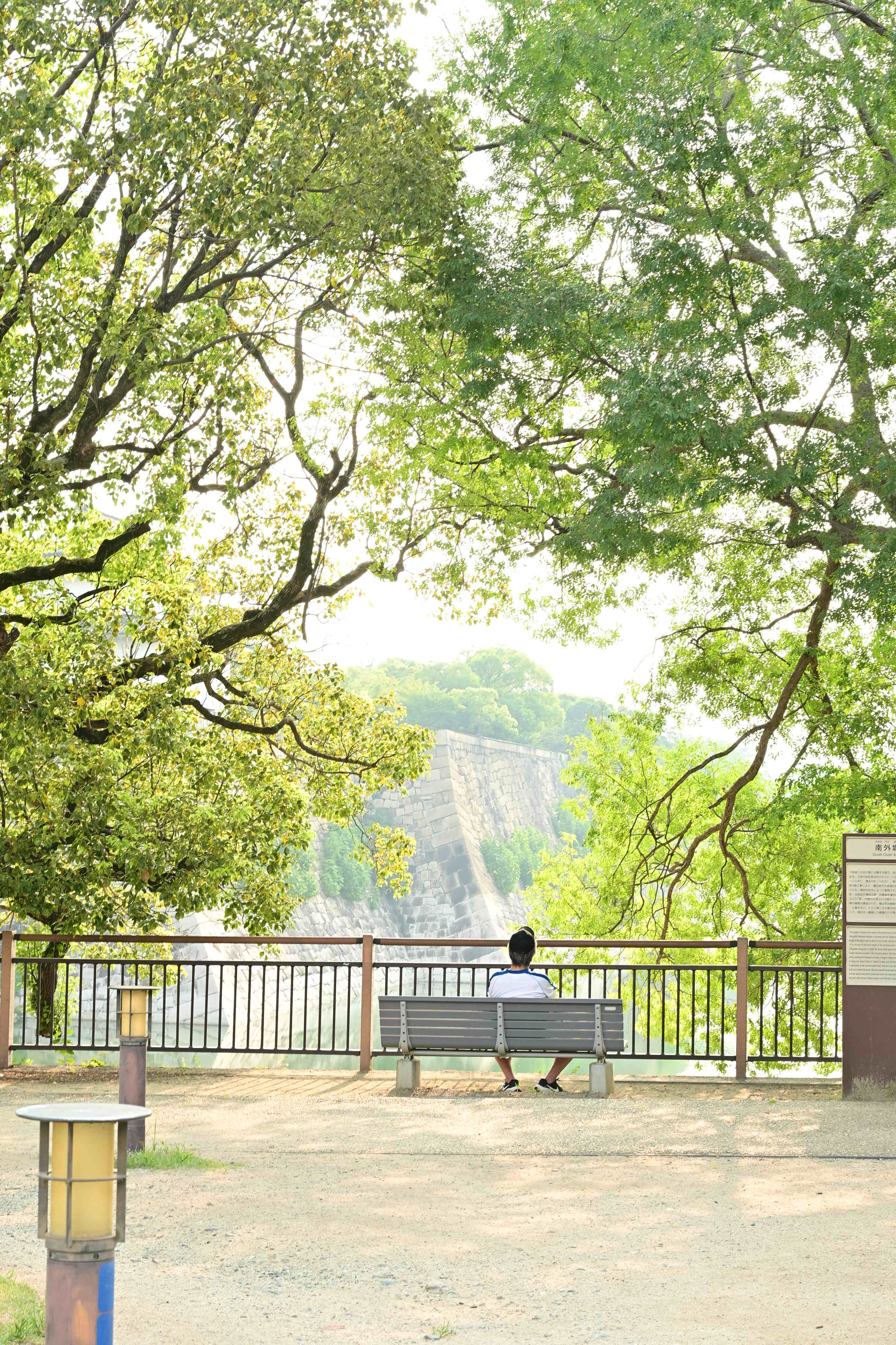 Featured image of the post