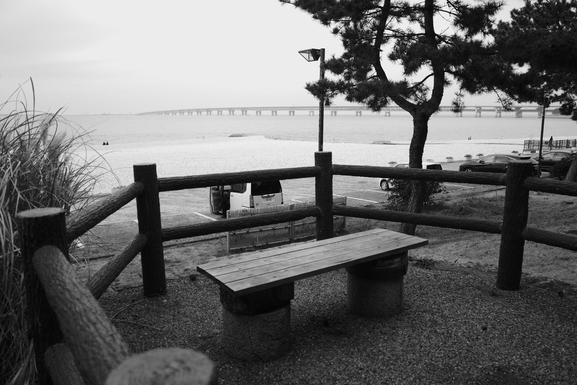 Featured image of the post