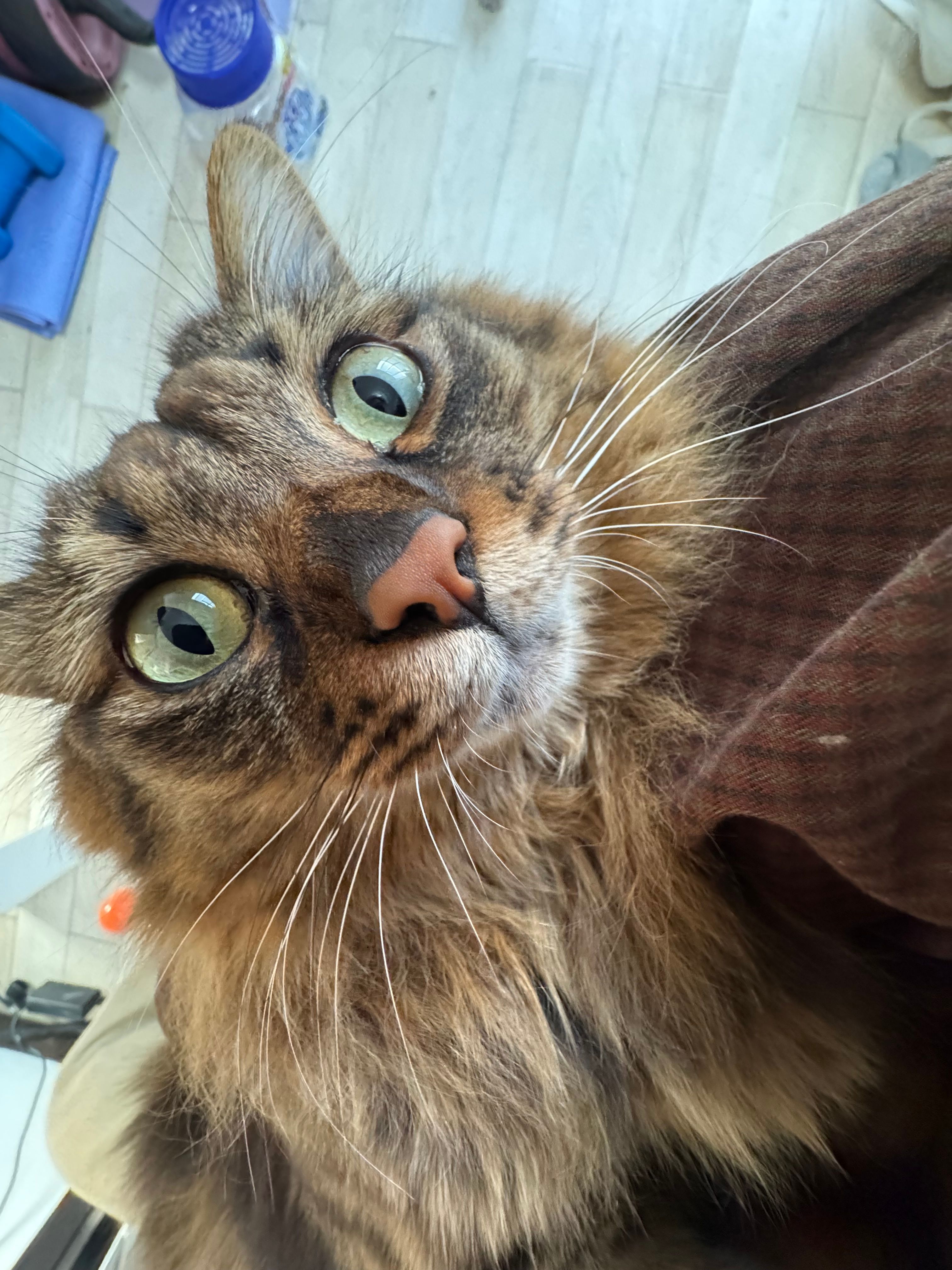 Image in a image block