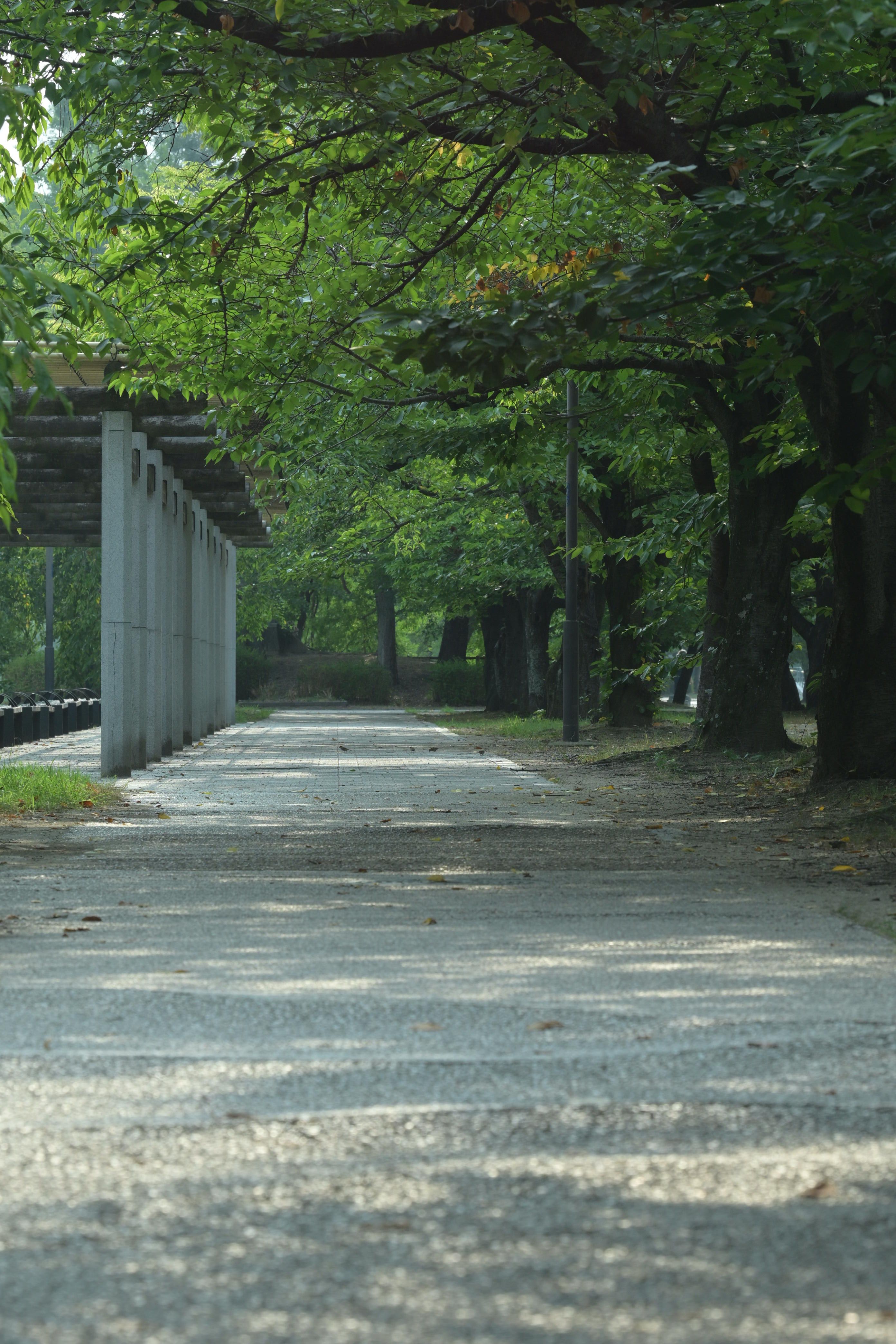 Featured image of the post