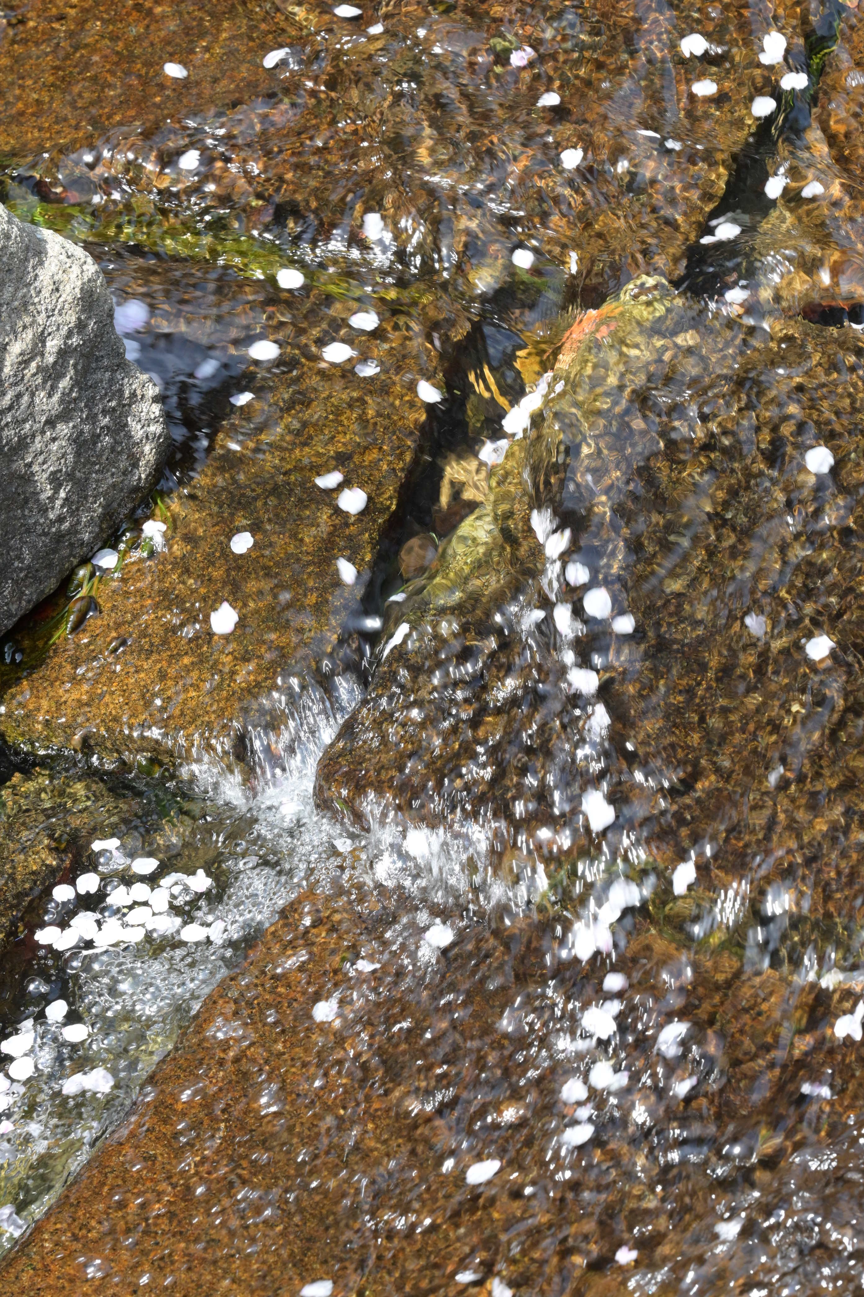 Image in a image block