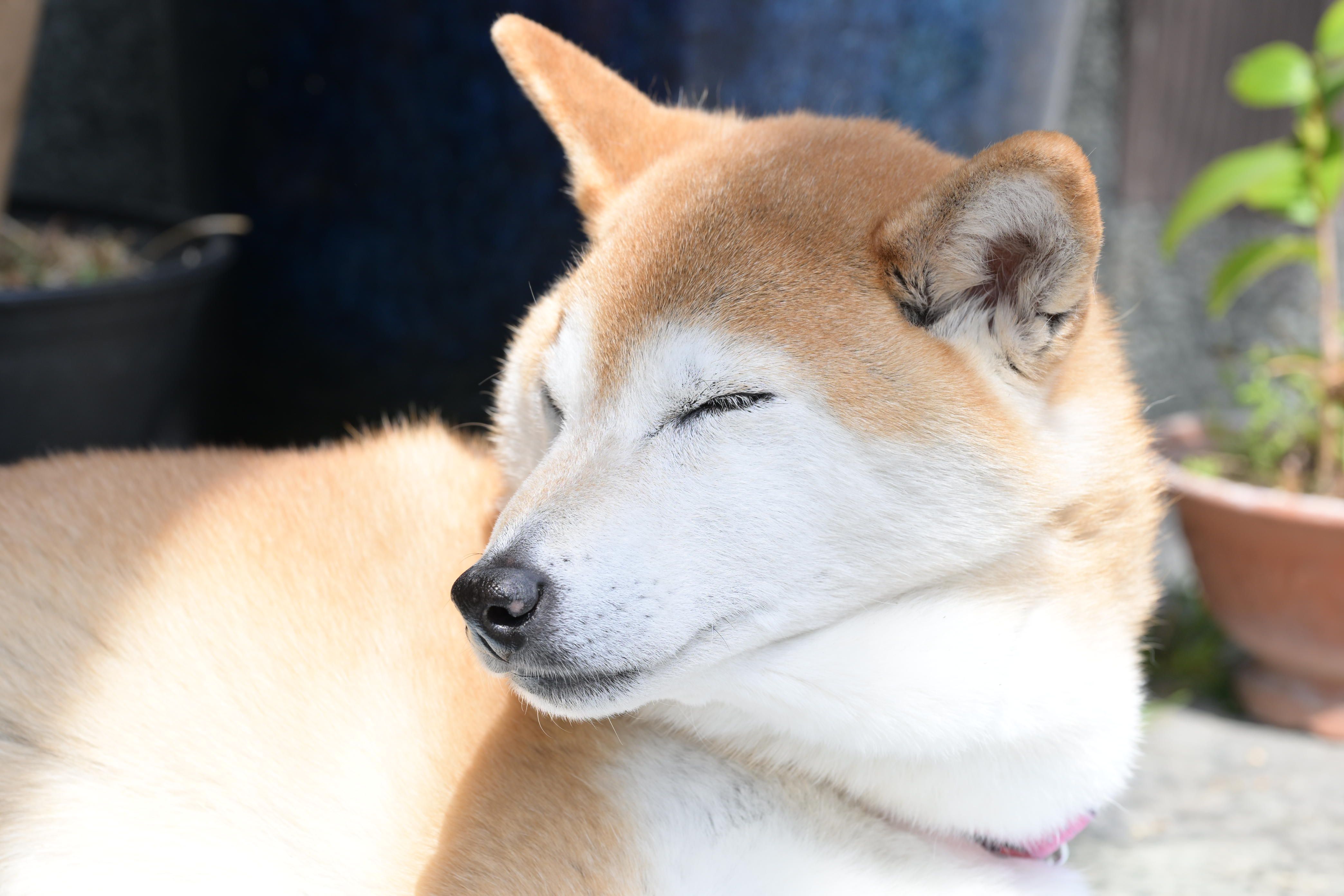 Image in a image block