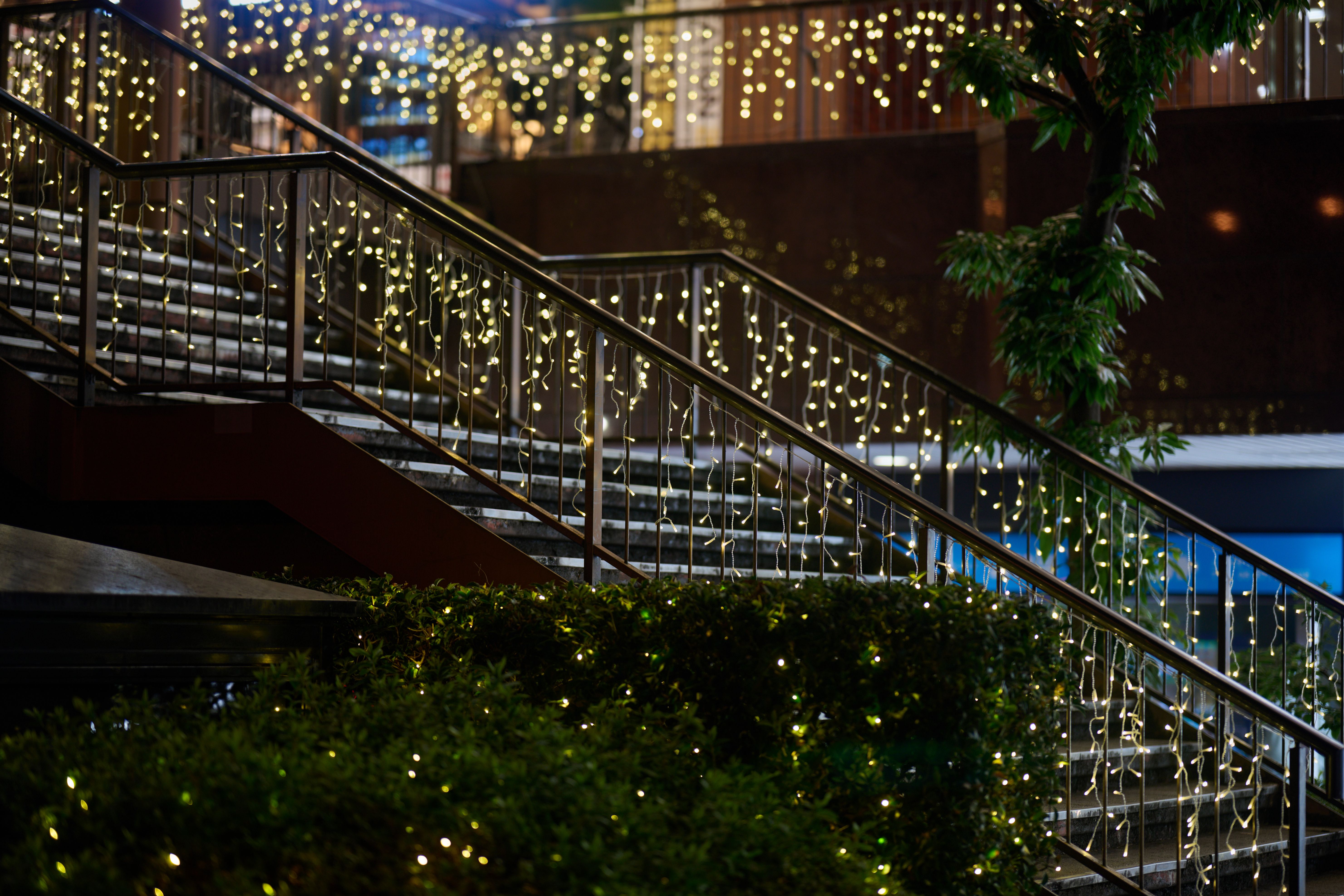 Featured image of the post