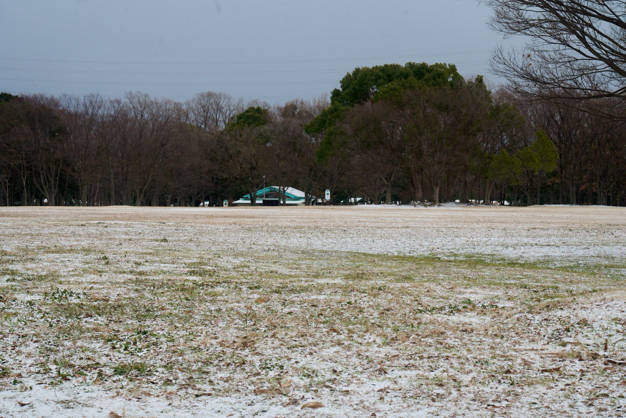 Featured image of the post