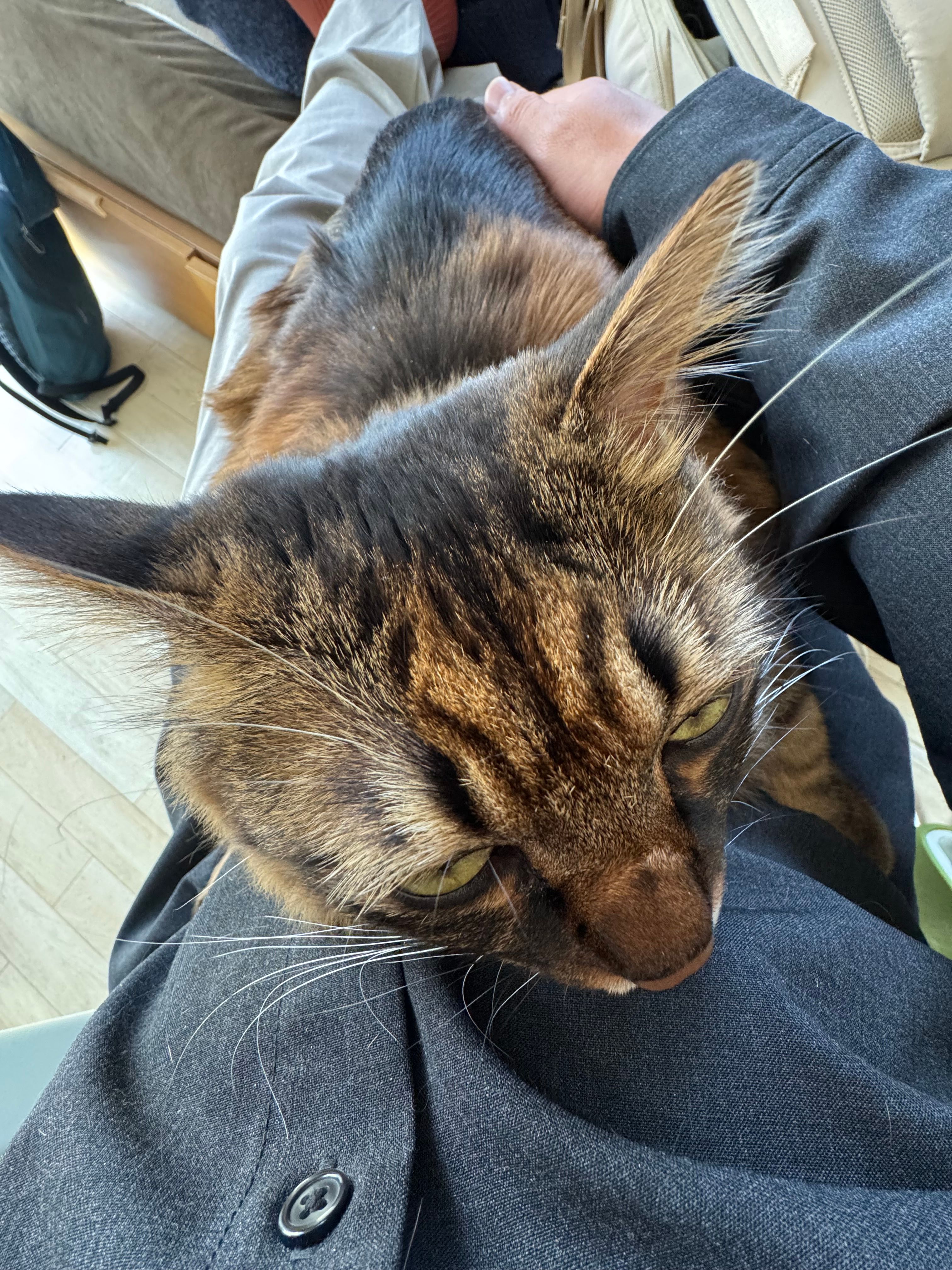 Featured image of the post