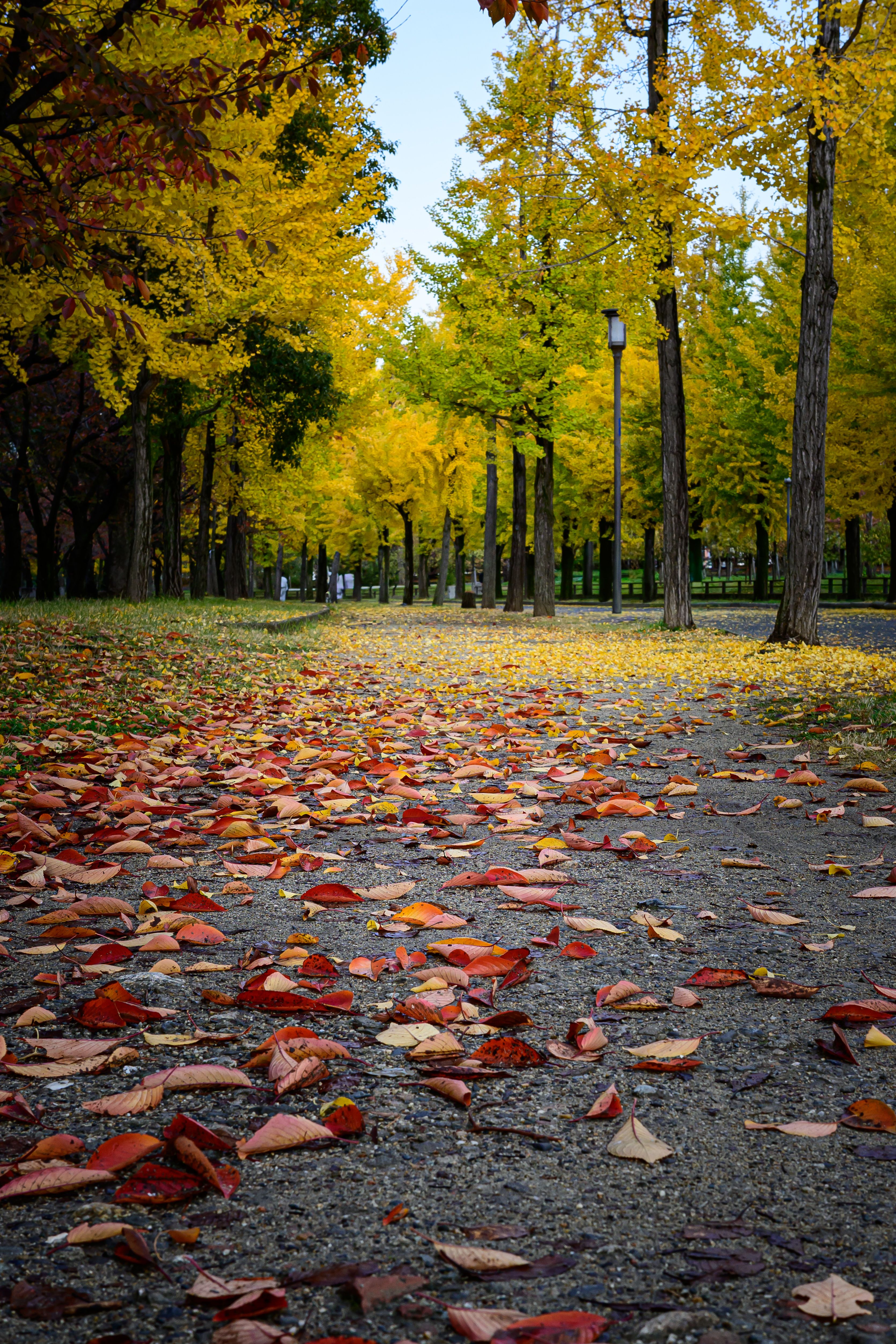 Featured image of the post