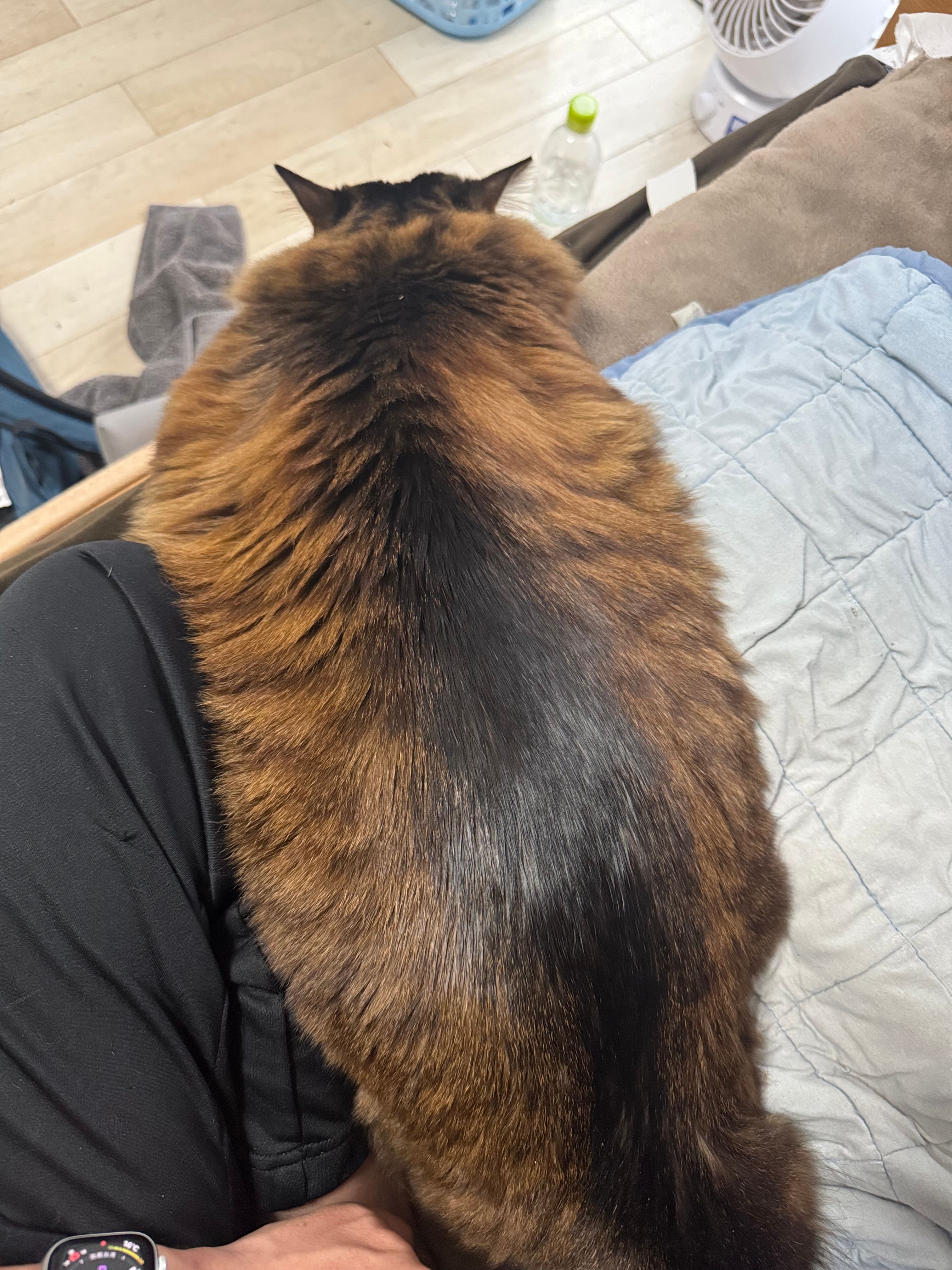 Featured image of the post