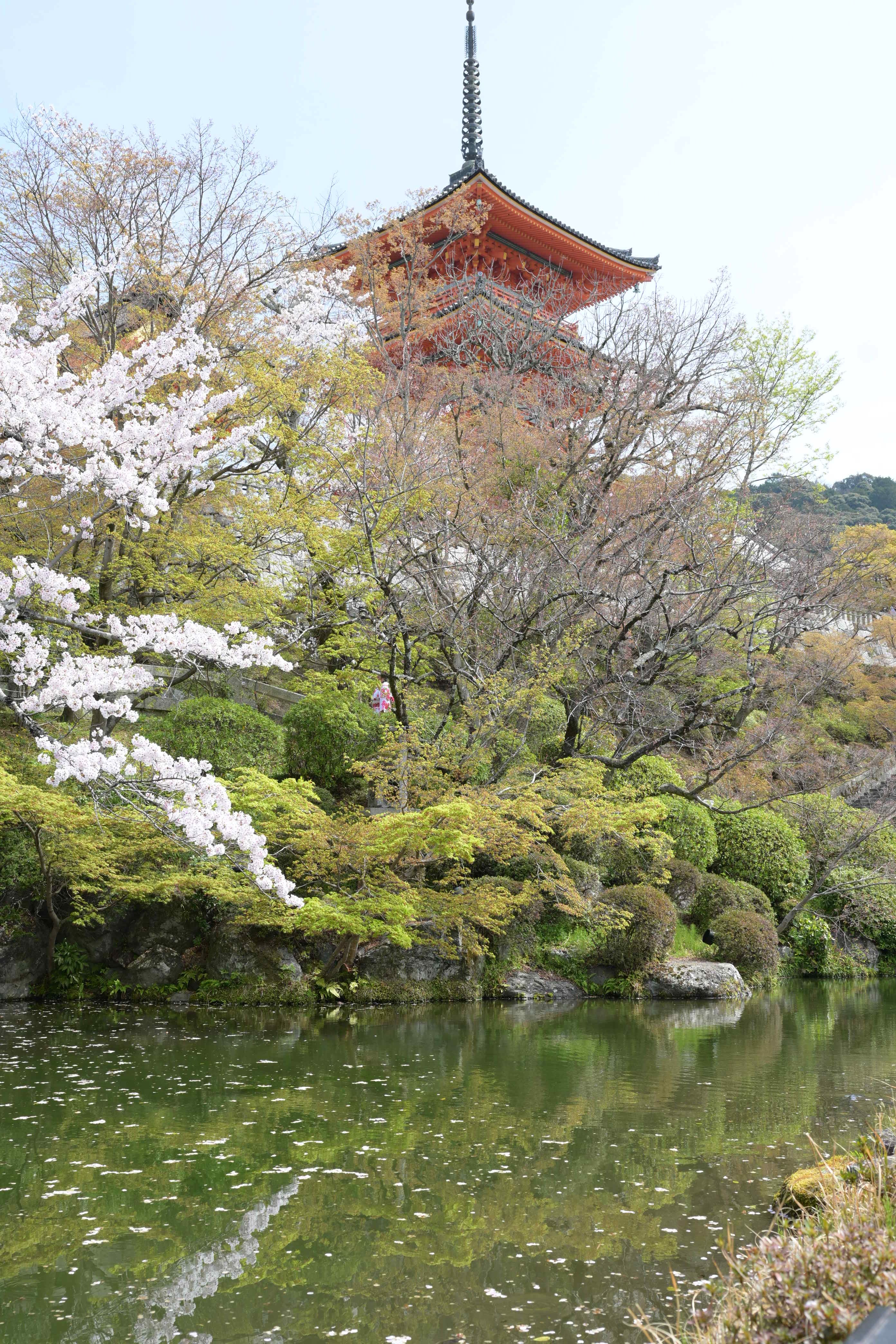 Image in a image block