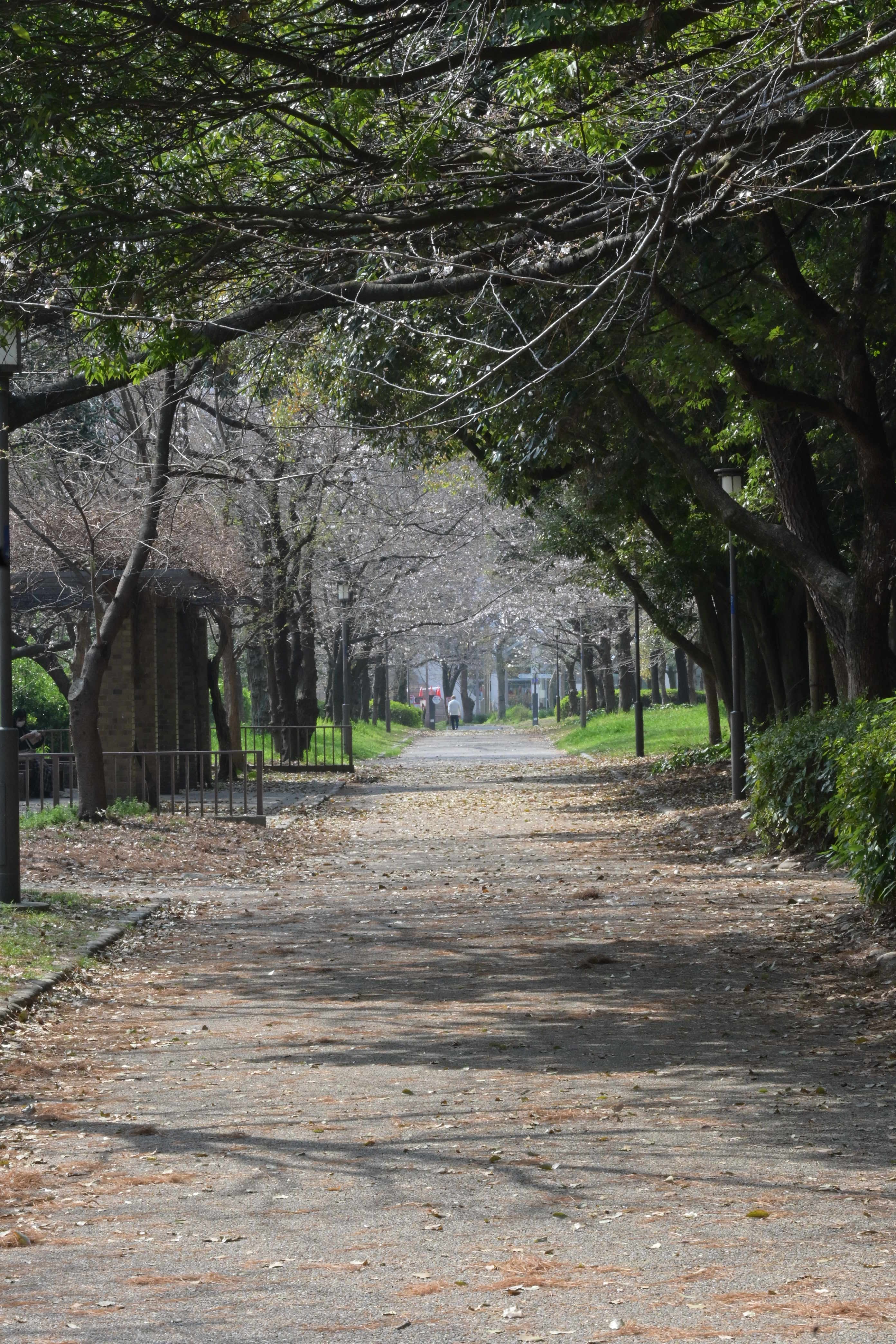 Image in a image block