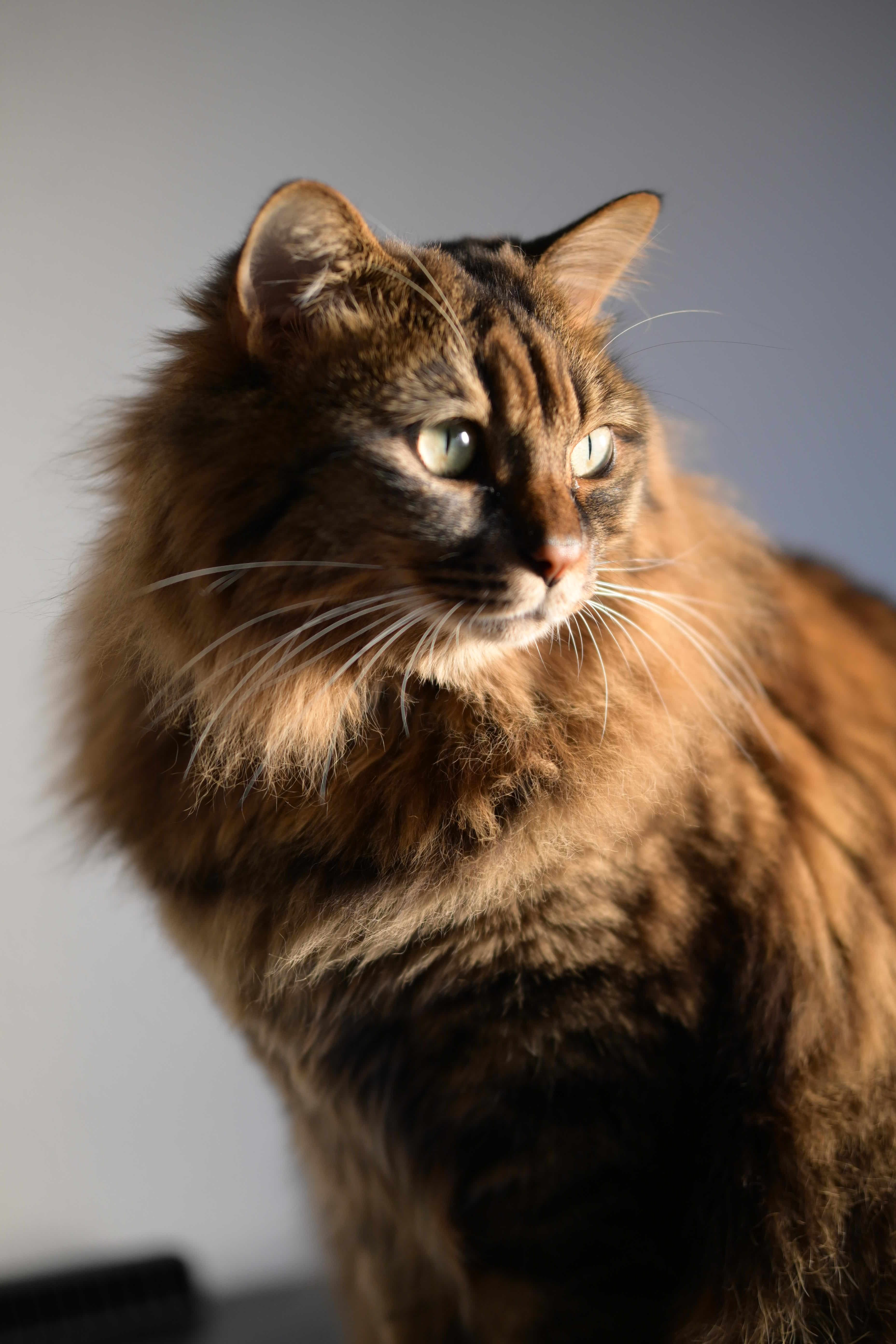 Image in a image block