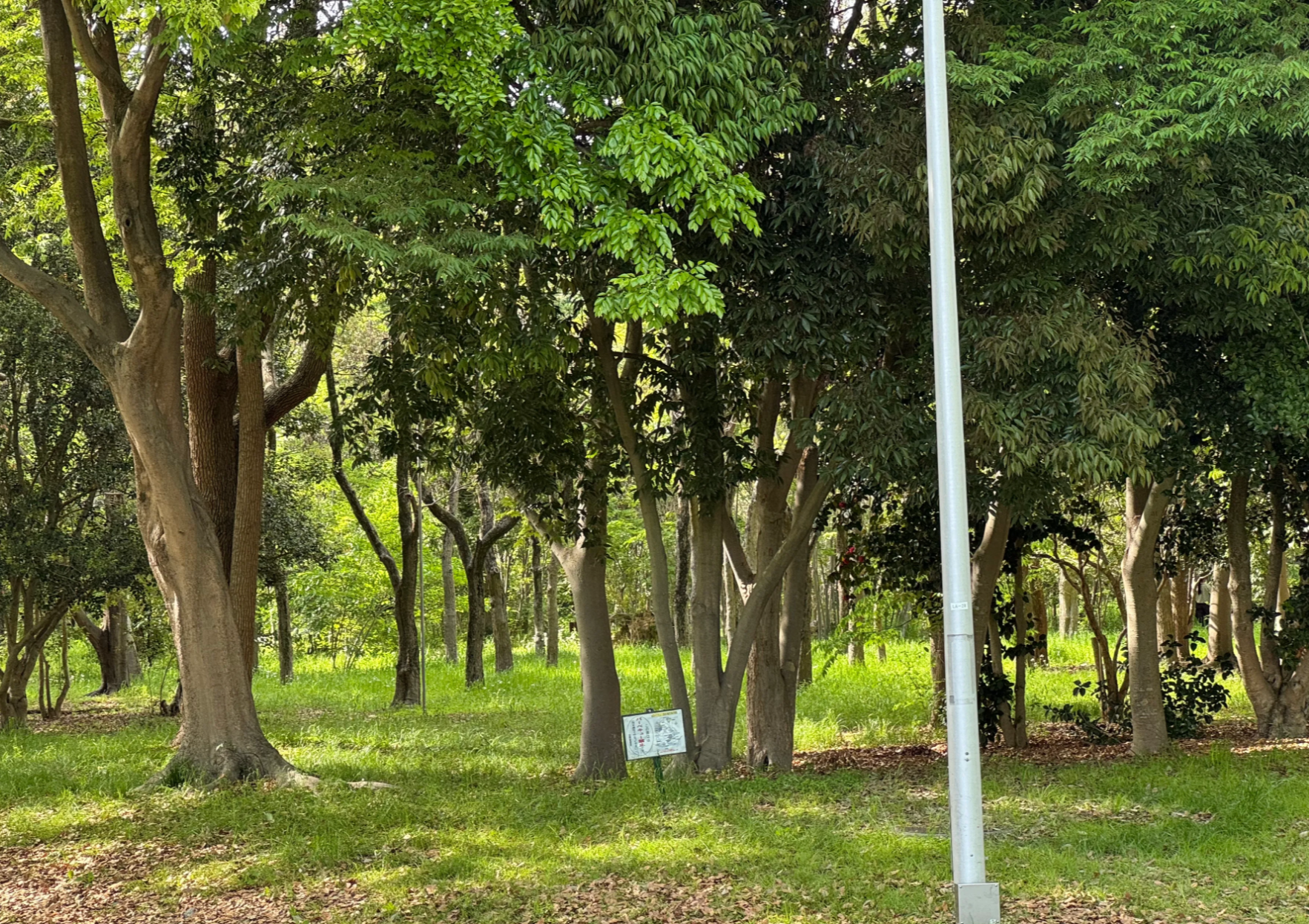 Image in a image block