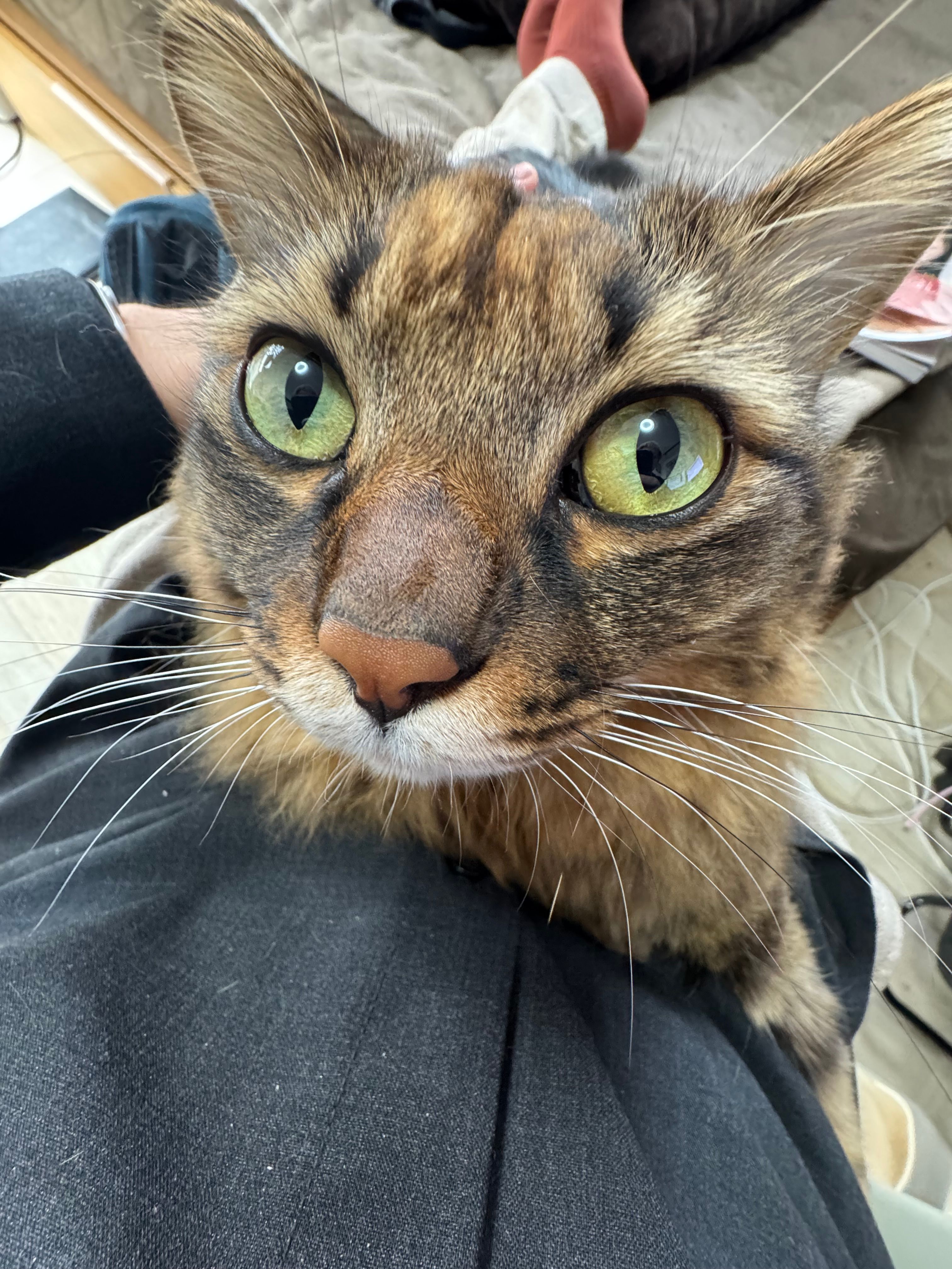 Featured image of the post