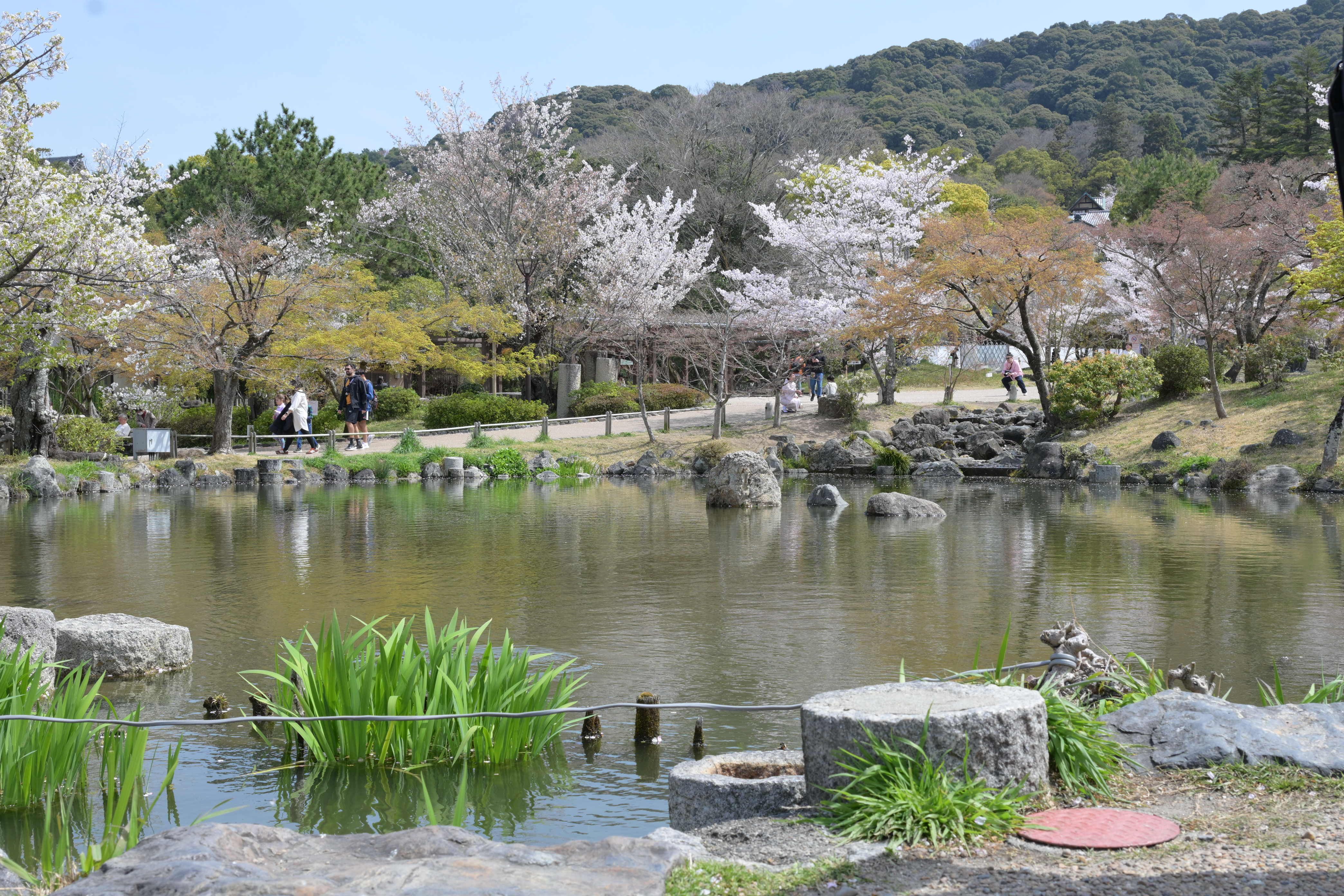 Image in a image block